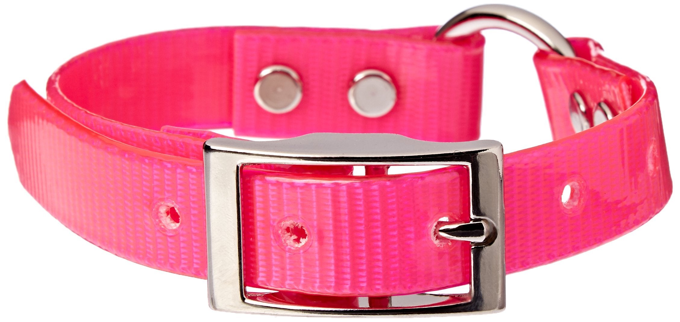 Omnipet Sunglo Ring-In-Center Dog Collar, 3/4' Wide, Pink, Fits 9'- 12.5' Neck Sizes, Vibrant Colors & Tough Construction For
