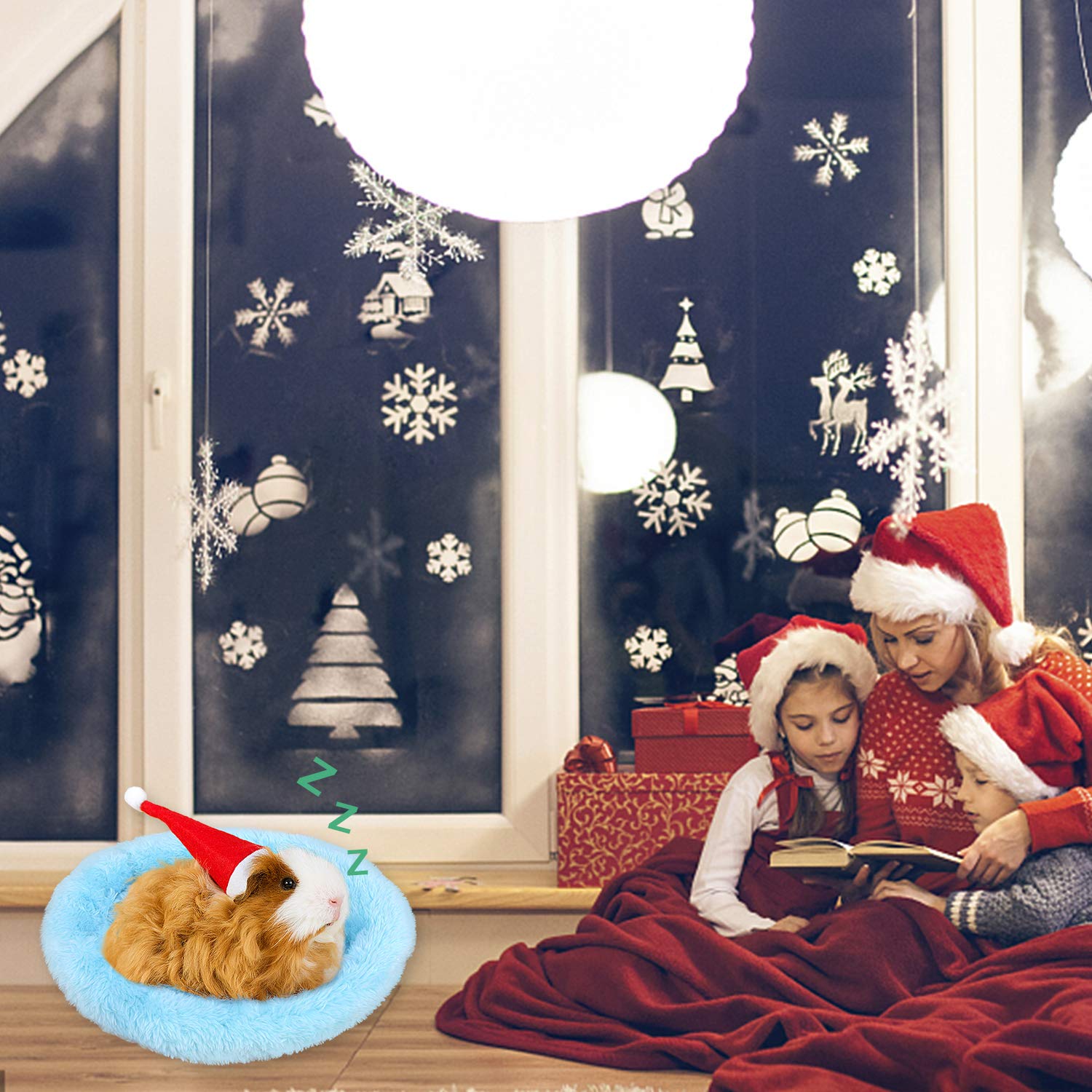 Febsnow Guinea Pig & Hamster Bed For Small Animals With Hair Remover Brush