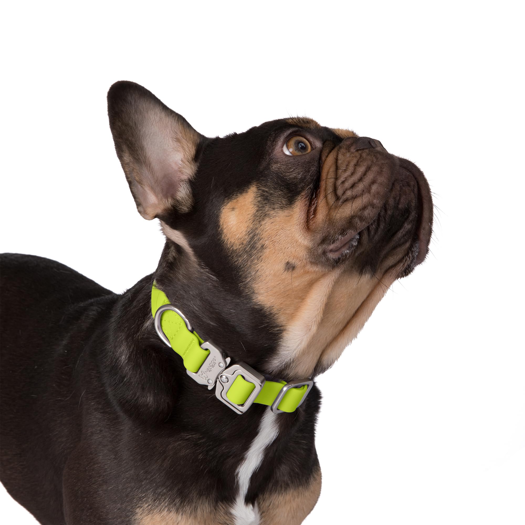 Nandog The Signature Collection Waterproof Poly-Flex Sport Dog Collar In Medium, Neon Green - Durable & Adjustable Design - Comf