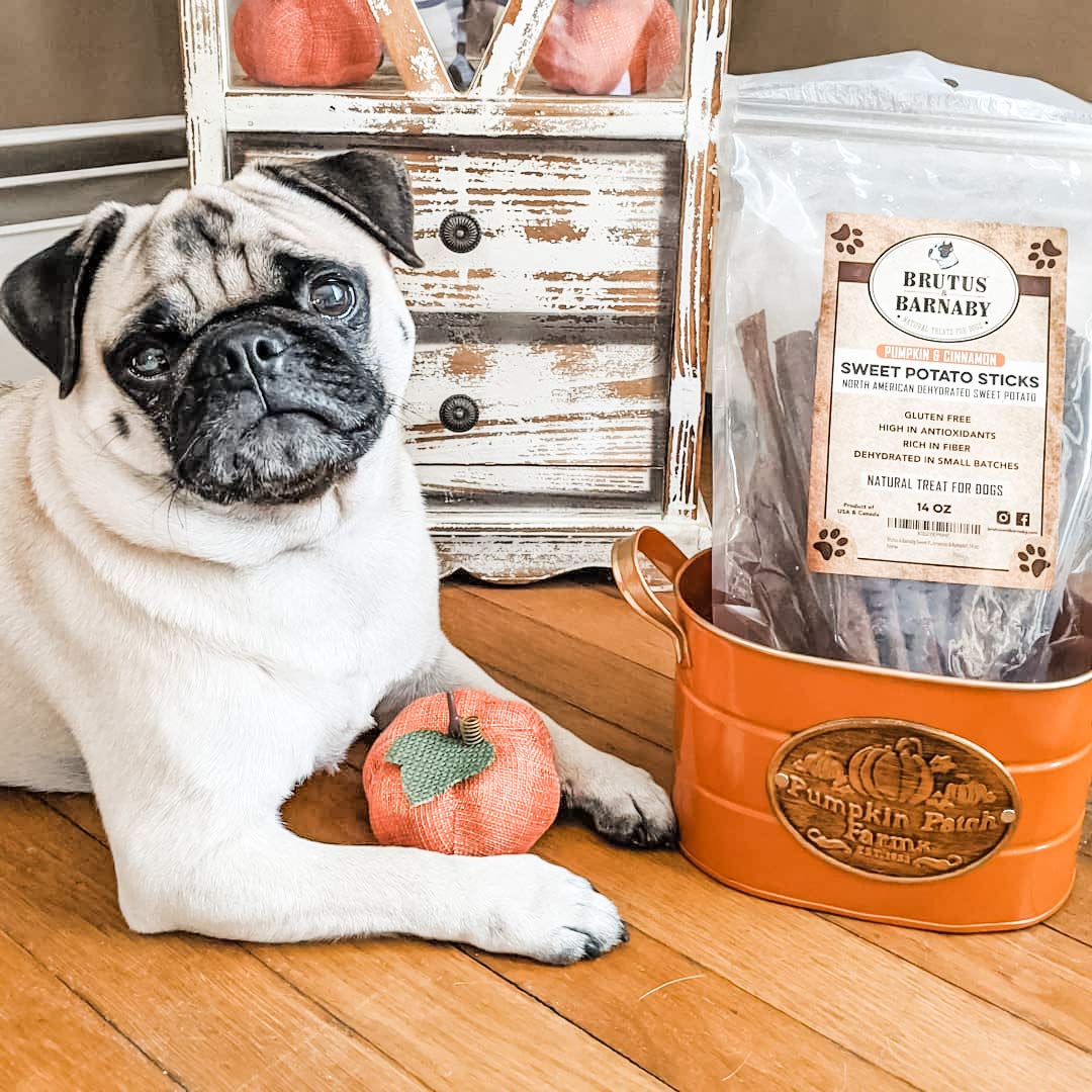 USA Sweet Potato Dog Treats - Grain Free, Cinnamon Pumpkin Crunchy Sticks are Great Tasting, Promote Positive Dog Gut Health wit