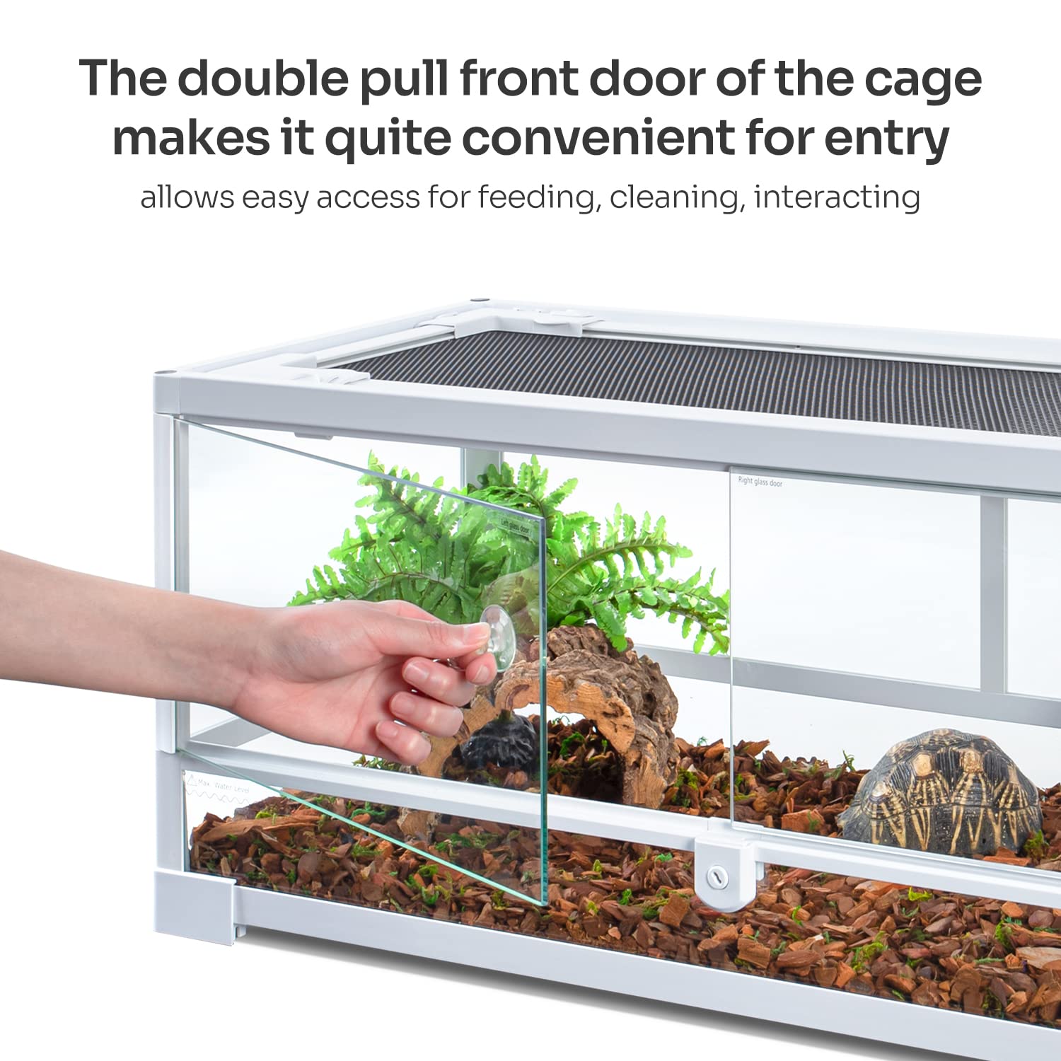 Oiibo Full Glass Long Tank Reptile Terrarium 20 Gallon, Front Opening Terrarium 30'' X 12''X 12'' For Reptile Pets Gecko Lizard