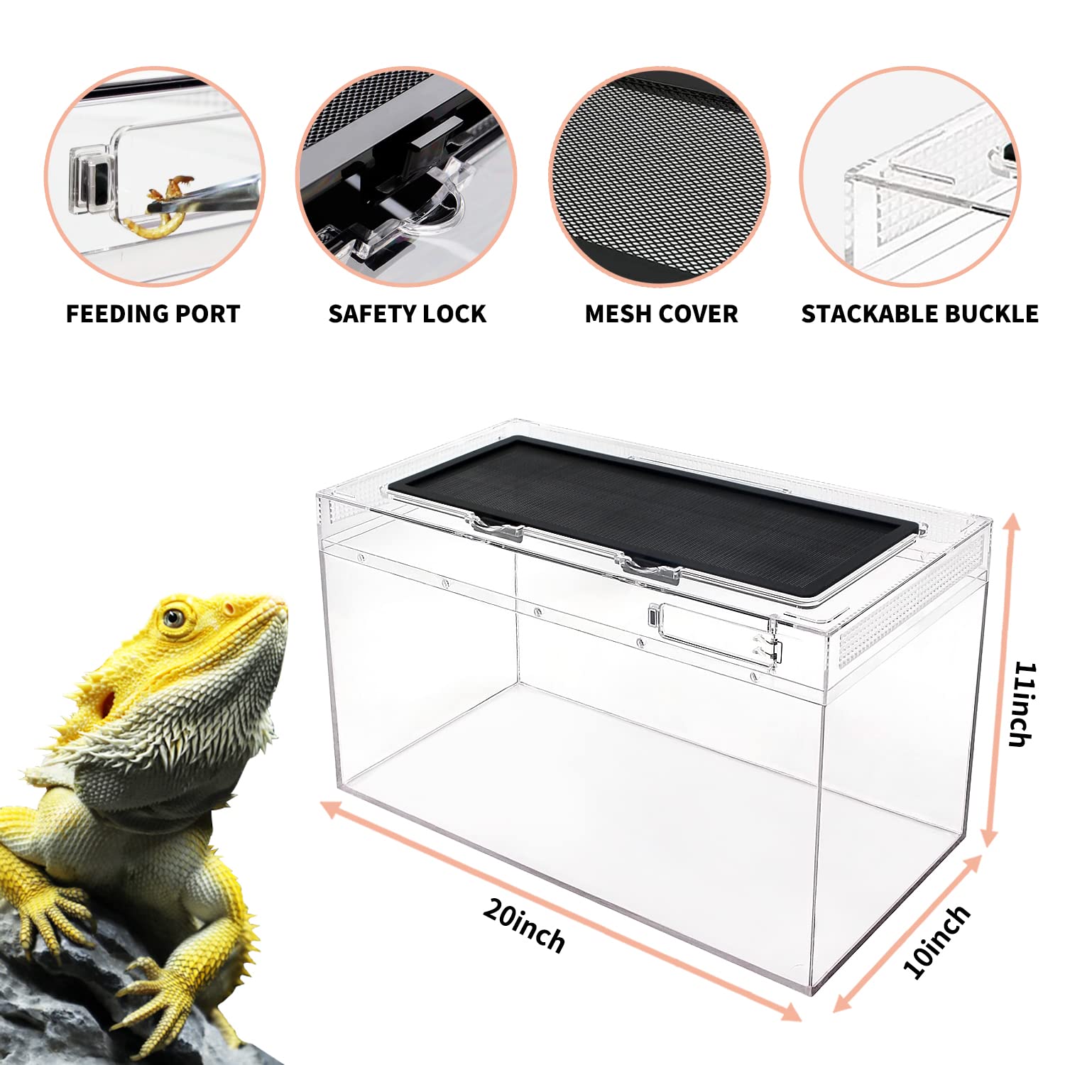 Reptile Growth Reptile Terrarium,10 Gallon Reptile Tank 20'' X 10''X 11'',For Insect,Fish,Tarantula,Hermit Crab,Jumping Spider,I