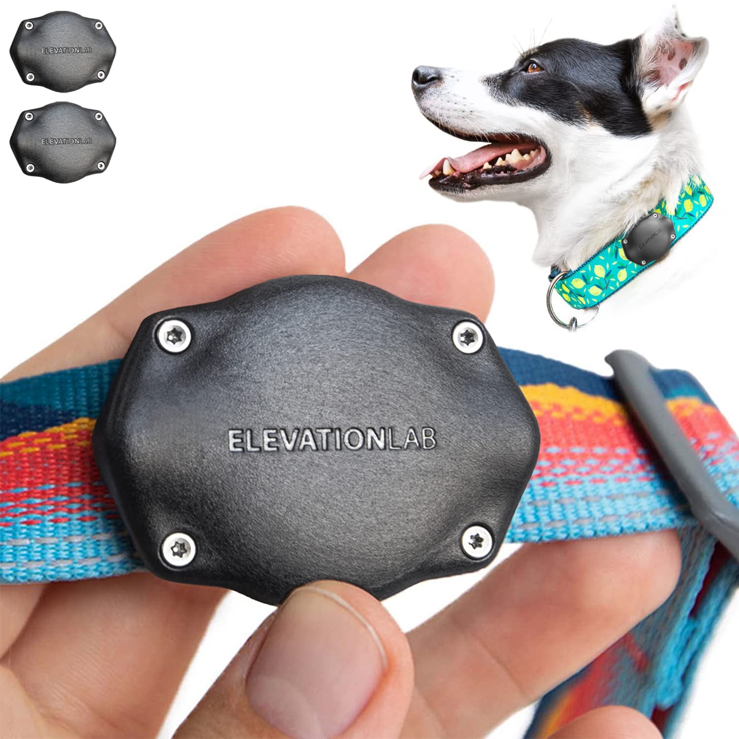 Tagvault Airtag Dog Collar Mount (2 Pack) - Ip69 Waterproof, Doesn'T Dangle, Fits All Width Collars | Elevation Lab