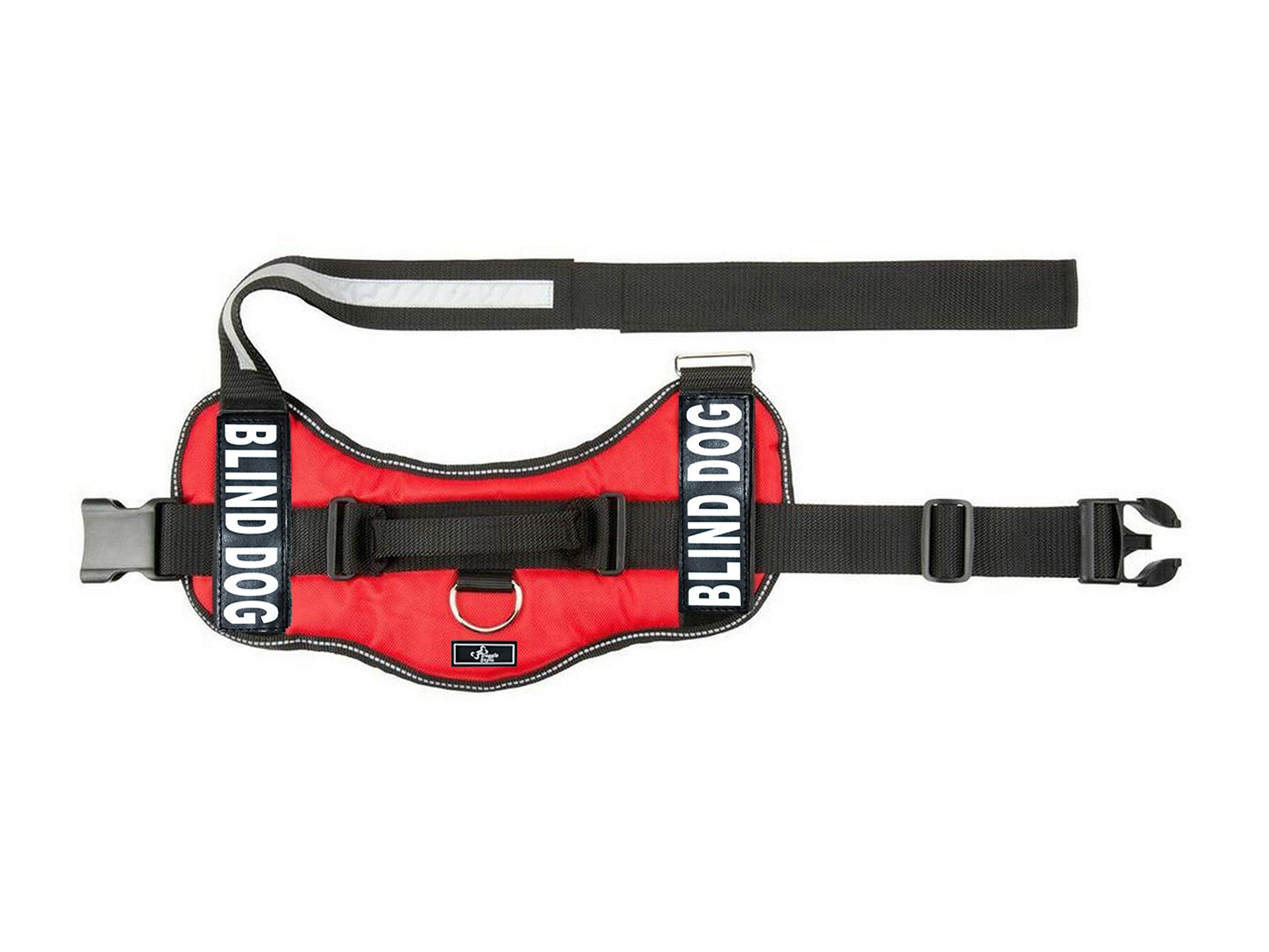 Doggie Stylz Blind Dog Vest Harness with Removable Patches and Reflective Trim. Comes with 2 Blind Dog Reflective Hook and Loop