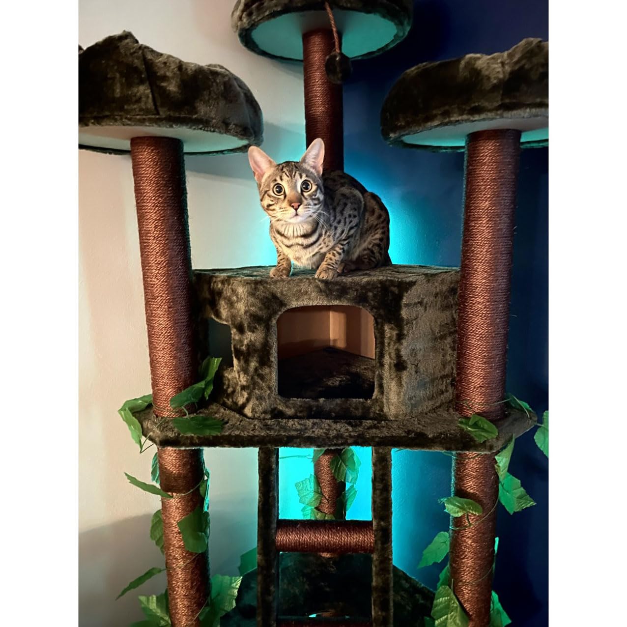 75'' Tall Cat Tree Tower With Condo And Green Leaves