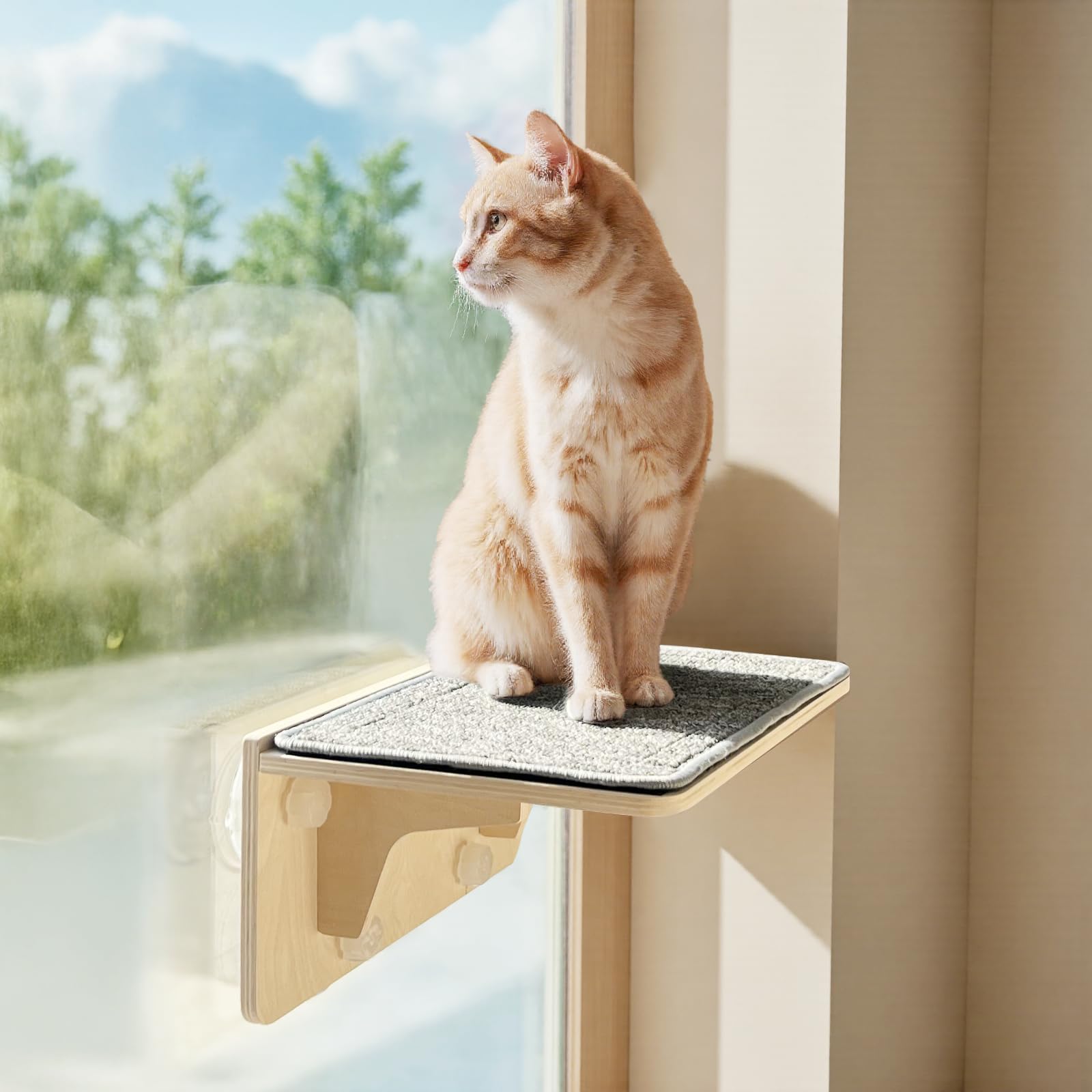 Pecute 2-in-1 Cat Window Perch & Wall Shelves - Sturdy Solid Wood Frame, 4 Large Rotating Suction Cups, Washable Carpet Cloth Co