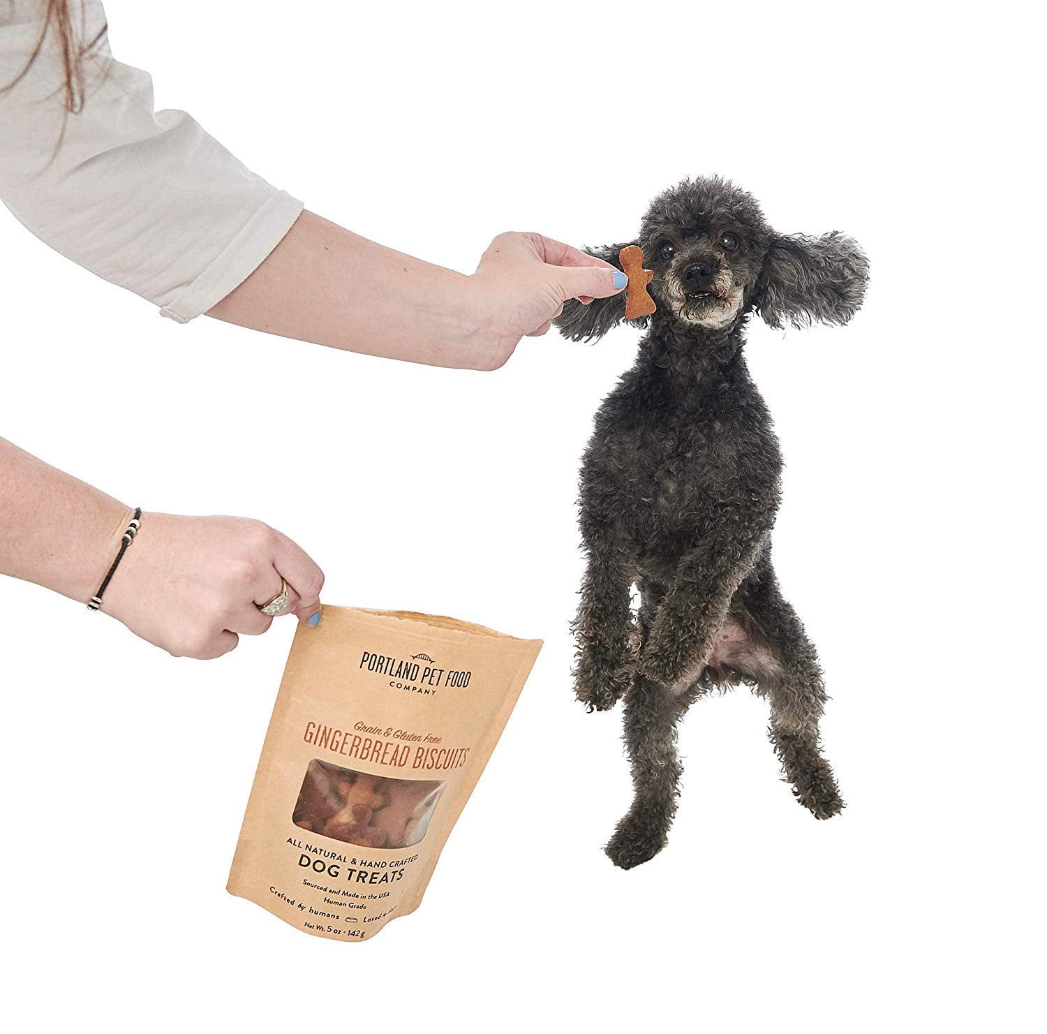Portland Pet Food Company Gingerbread Dog Treats Healthy Biscuits for Small Medium & Large Dogs - Grain-Free, Human-Grade All Na