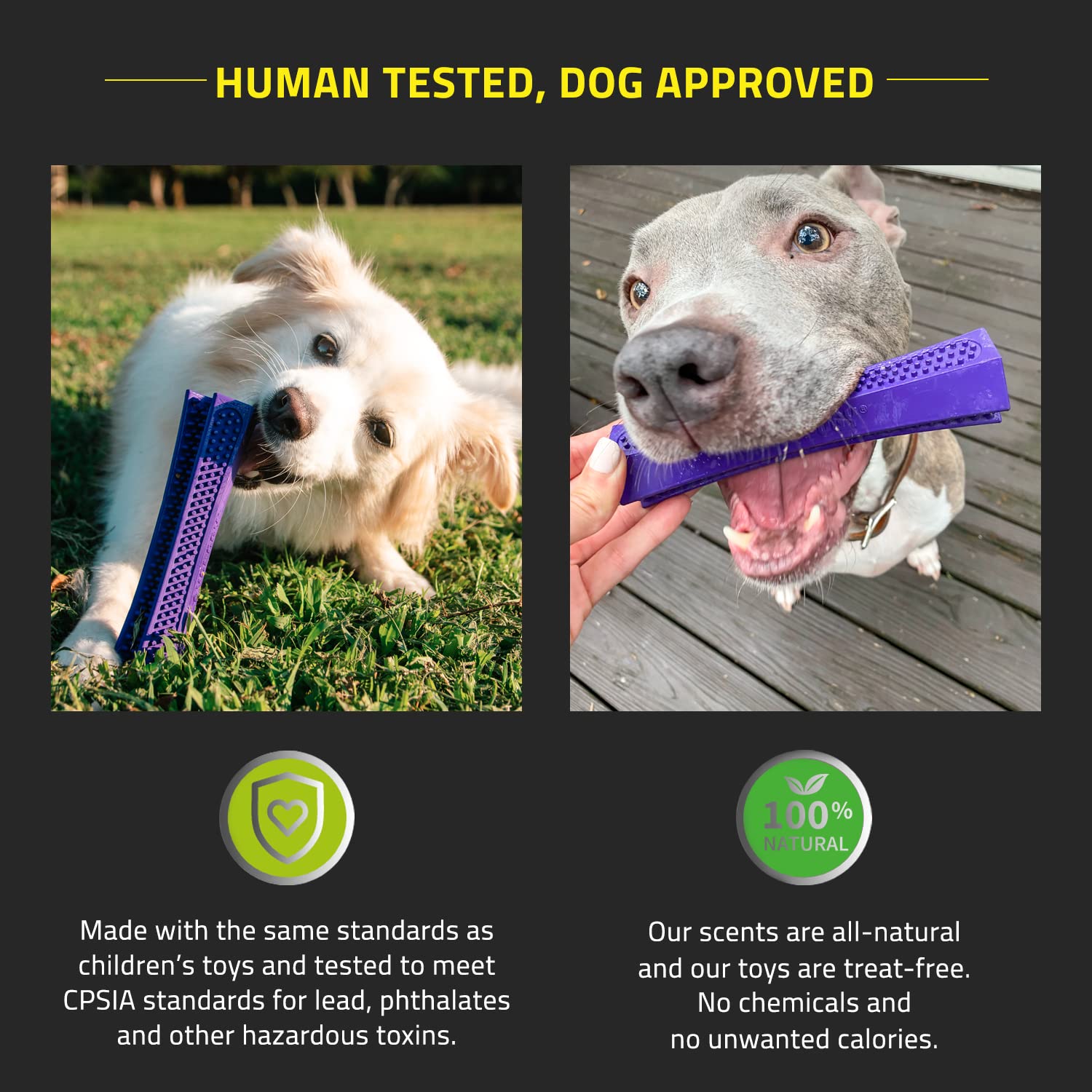 Playology Silver Dental Chew Stick Dog Toy, Large - Designed for Senior Dogs (35lbs and Up) - Engaging All-Natural Pork Sausage