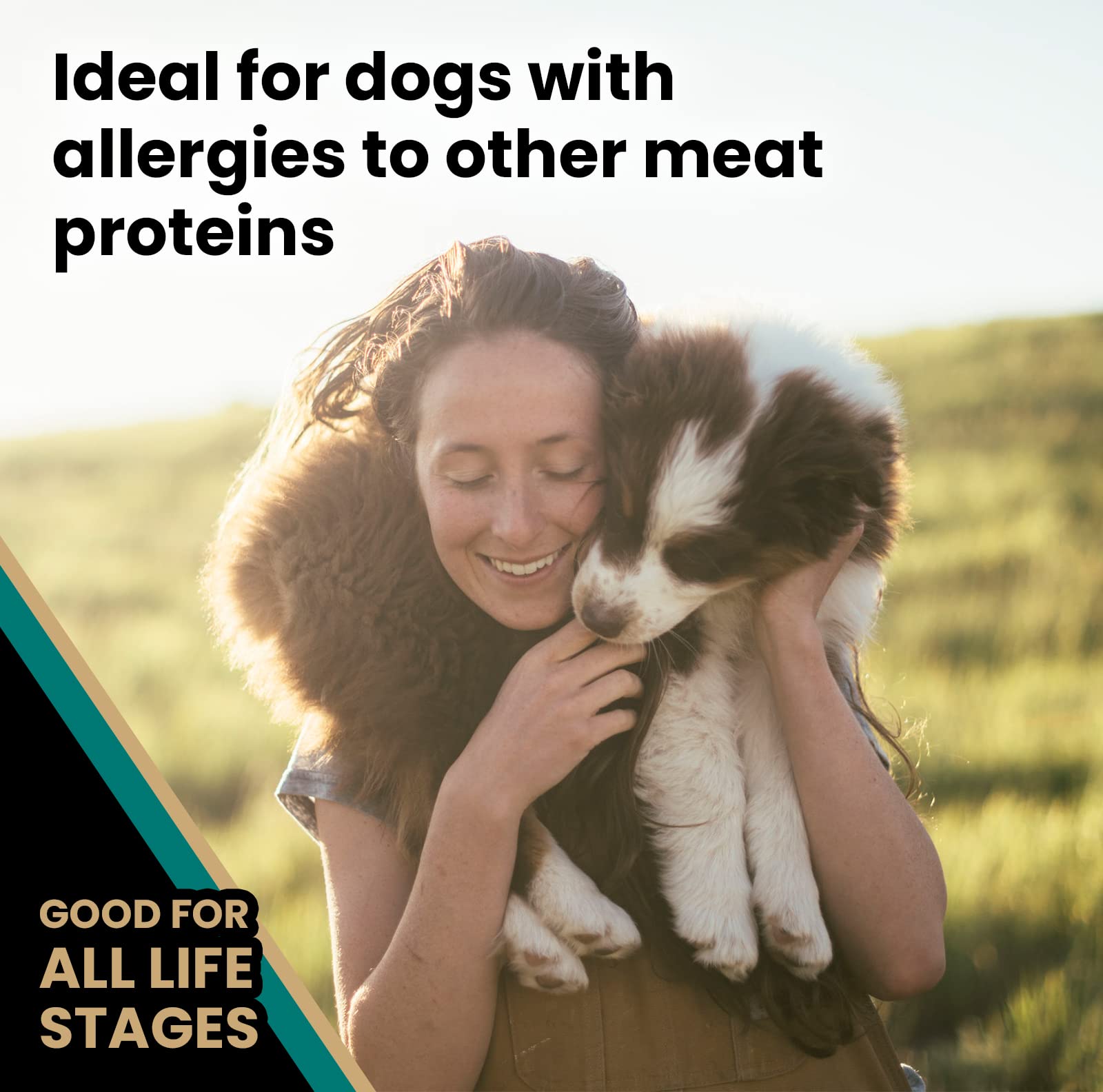 VICTOR Super Premium Dog Food - Select Ocean Fish Formula with Salmon - Omega-3 and Omega-6 Enriched Gluten-Free Dry Kibble for