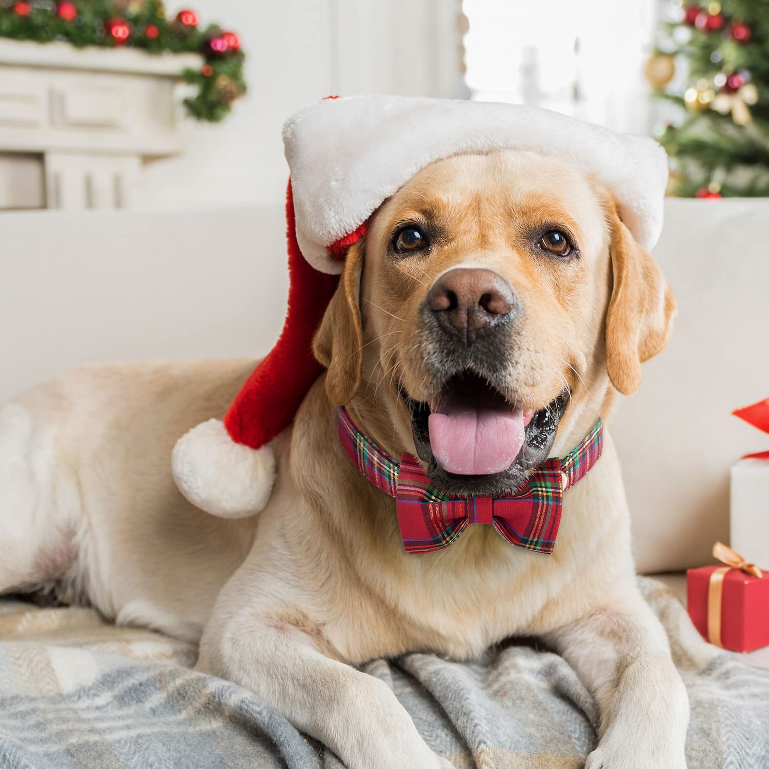 Tunkoo Dog Leash Christmas Plaid With Soft Comfy Cotton Handle