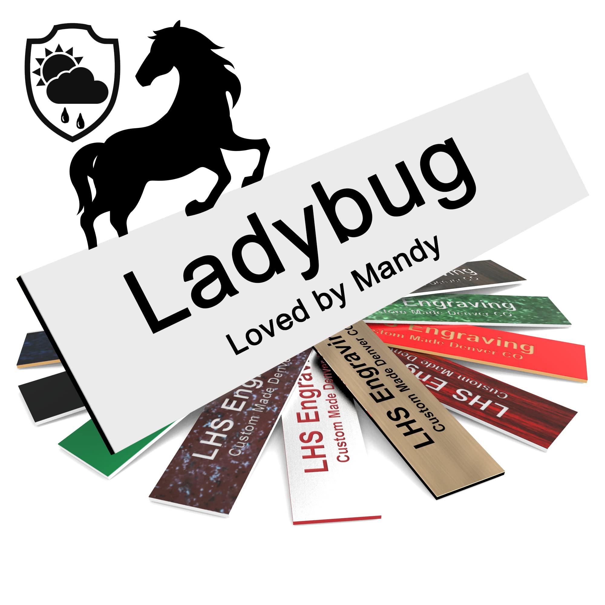 Lhs | Personalized Horse Stall Name Plates, 2X8 Horse Stall Signs With Adhesive, All Weather Uv Protected, White Plastic Black L