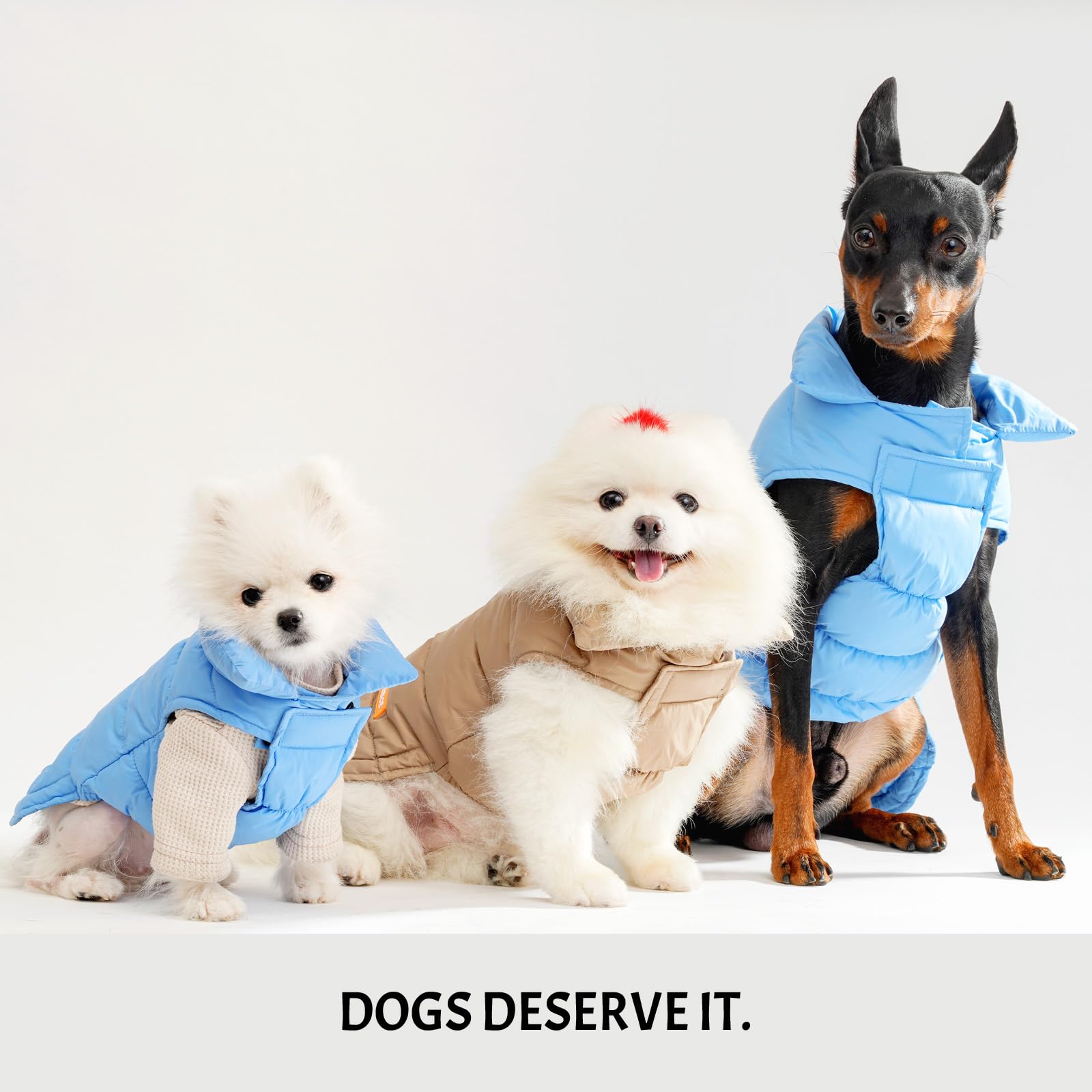 Space Lion Dog Puffer Jacket, Down Dog Winter Coat, Waterproof, Windproof, Lightweight, Adjustable Fit, Small, Medium, Large Dog