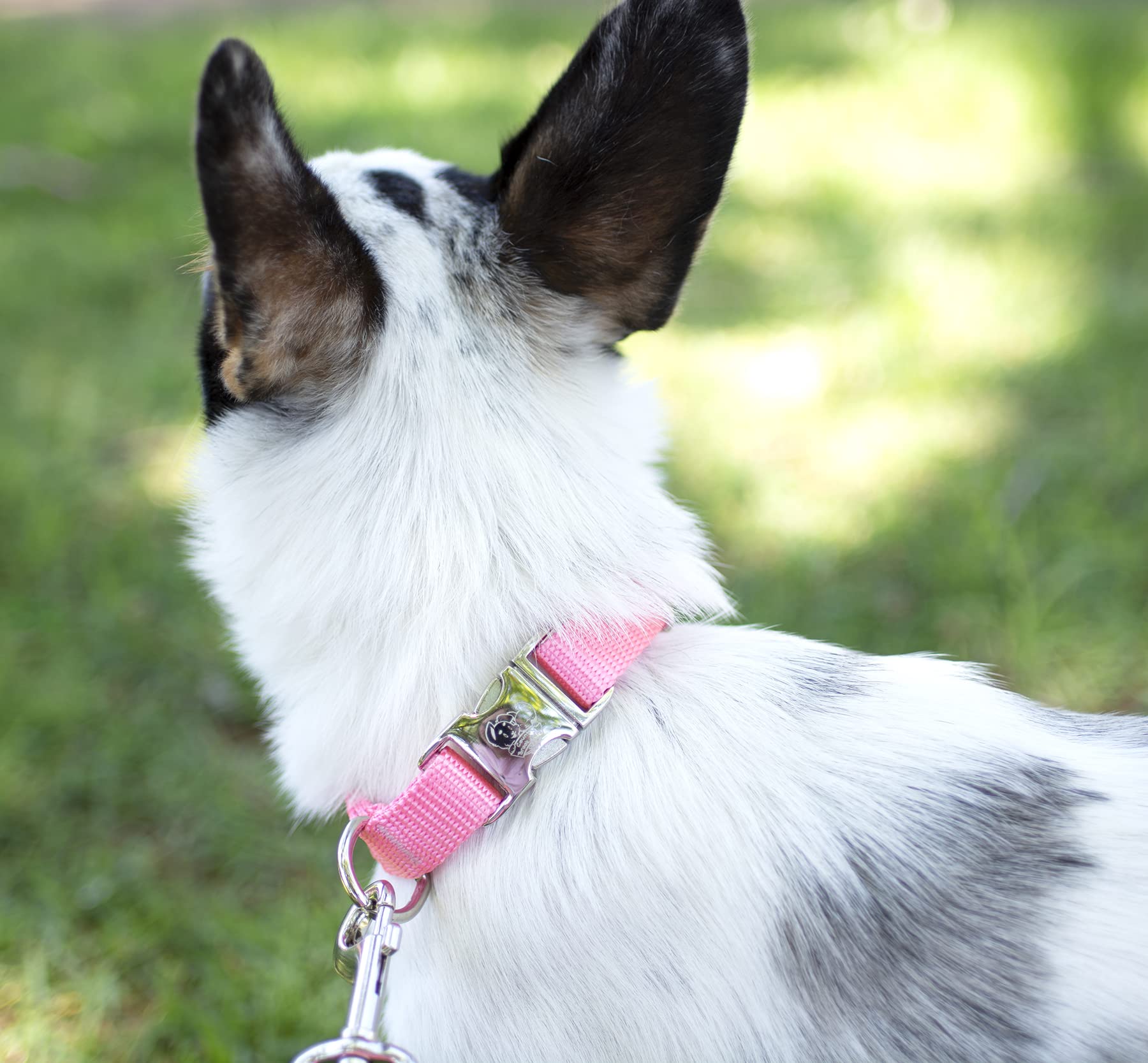Country Brook Design - Vibrant 30+ Color Selection - Premium Nylon Dog Collar With Metal Buckle (Extra Large, 1 Inch, Pink)