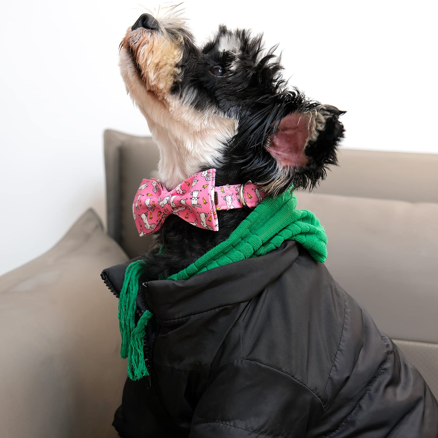 Lionet Paws Easter Dog Collar With Bowtie, Cute Bunny Rabbit Carrot Bowtie Collar With Metal Buckle For Dogs And Cats, Adjustabl