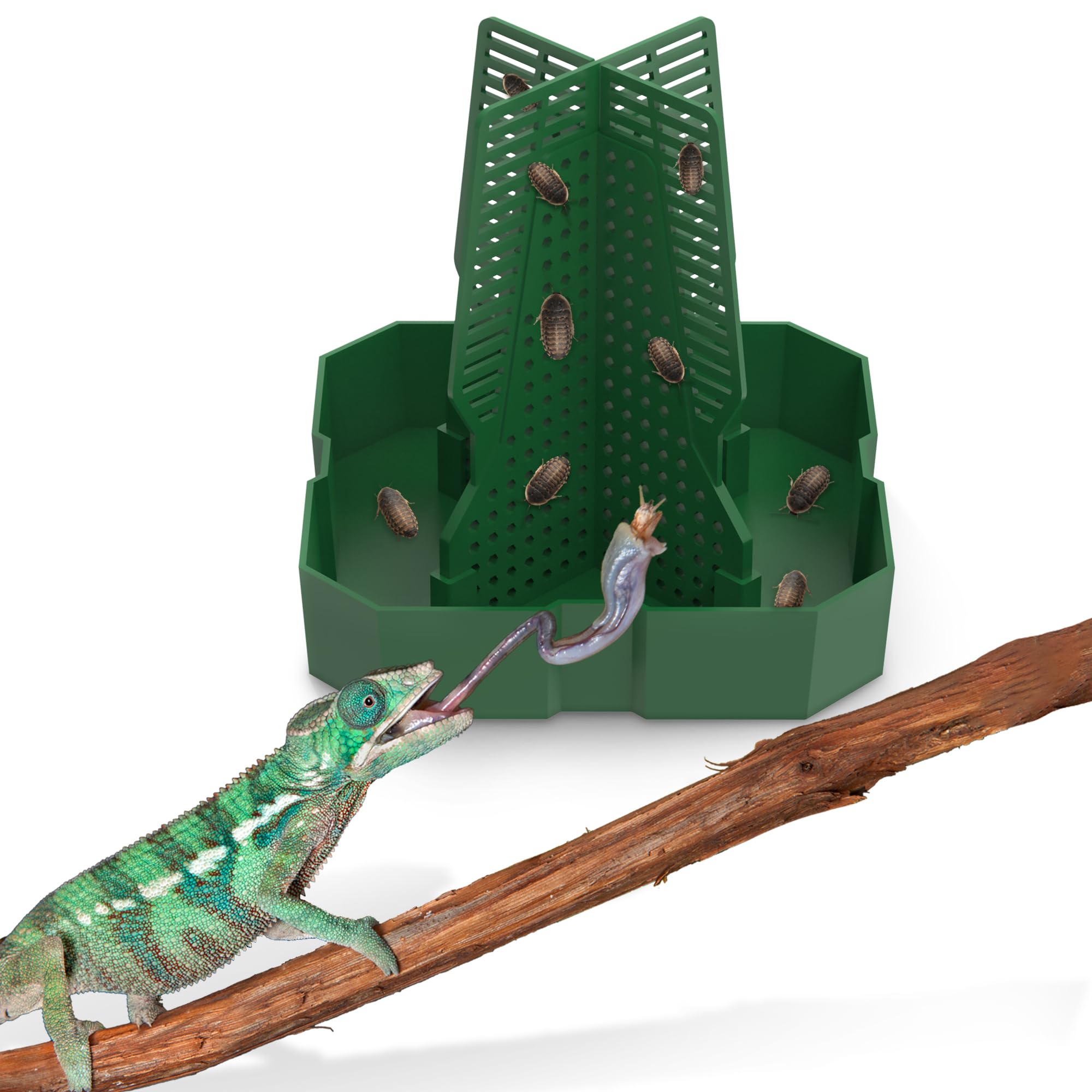 Fischuel Chameleon Feeding Bowl For Reptile Terrarium, Climbable Design For Reptile To Hunt, Suitable For Feeding Lizards, Beard