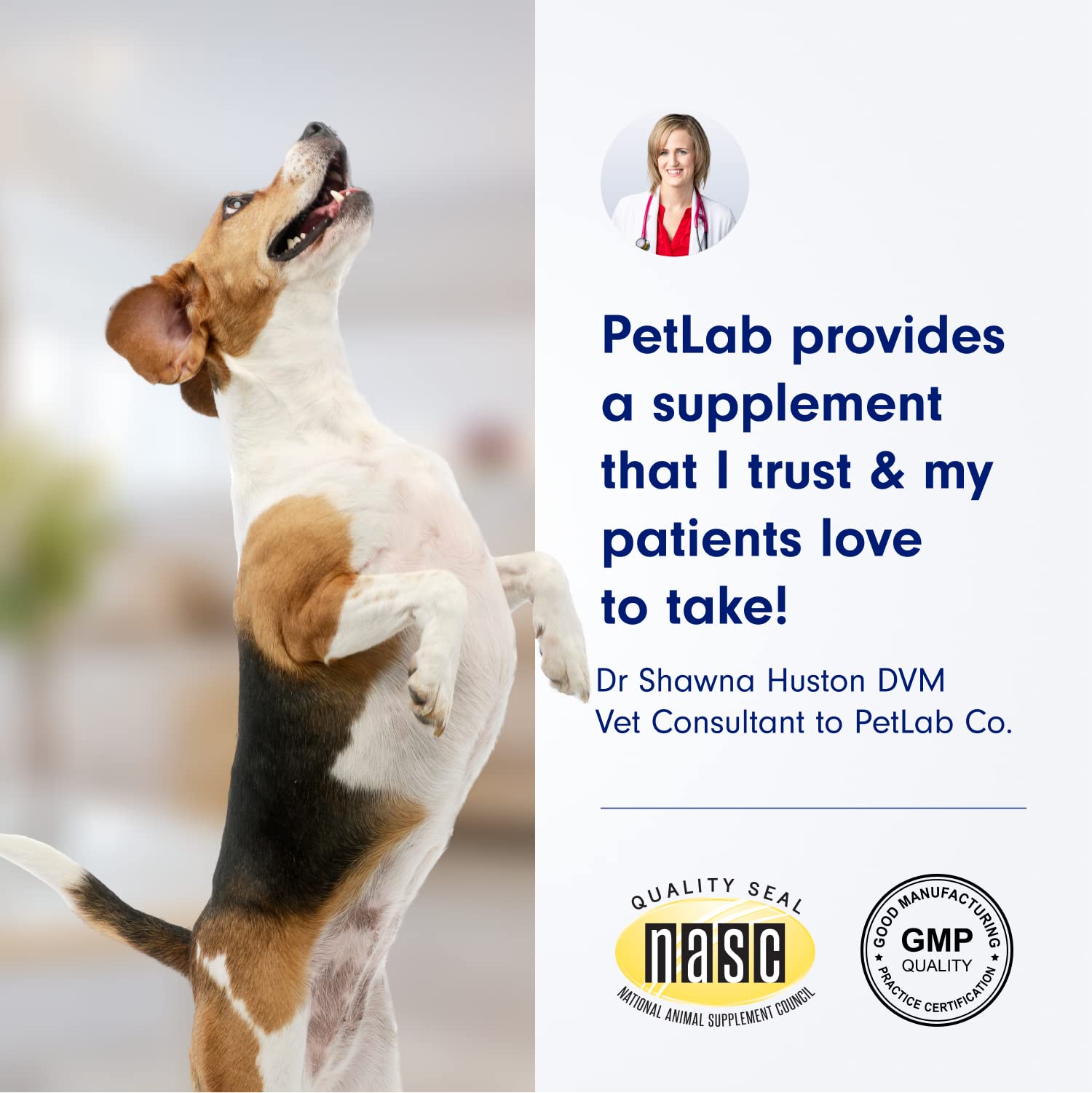 Petlab Co. Paw Balm For Dogs - Moisturizes And Supports Dry Paws - Easy To Use Paw Soother For Dogs Of All Ages - Dog Paw Wax