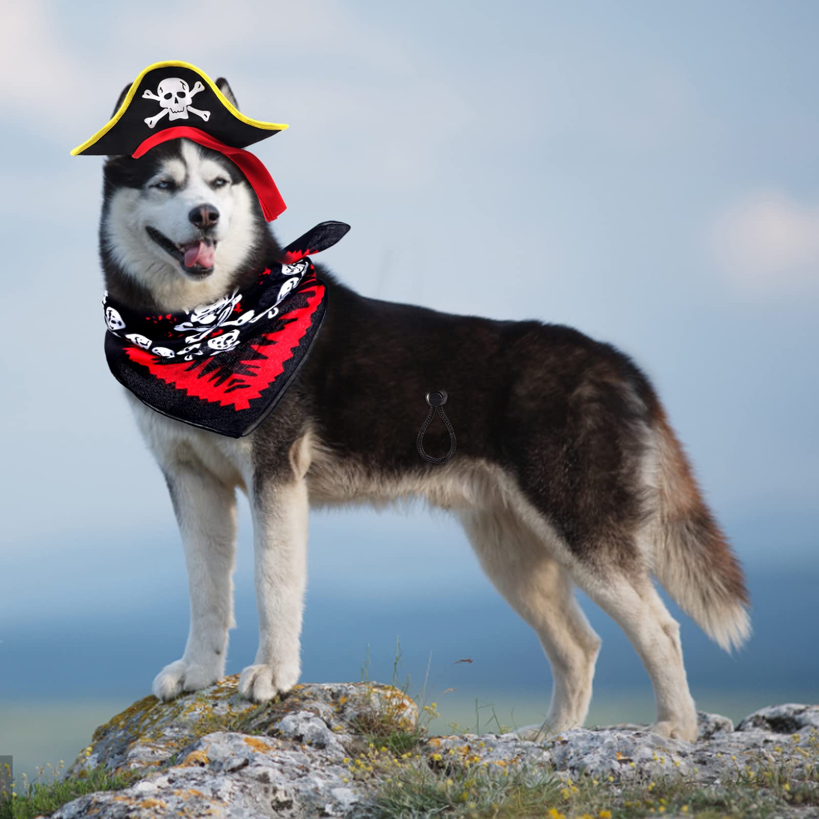 Aichiyu 2 Pieces Skull Print Pet Pirate Hat With Pirate Skull Bandana Dog Cat Captain Cap Halloween Pirate Cosplay Costume Halloween Party Hat Dress Up Costume Accessories (A) One Size