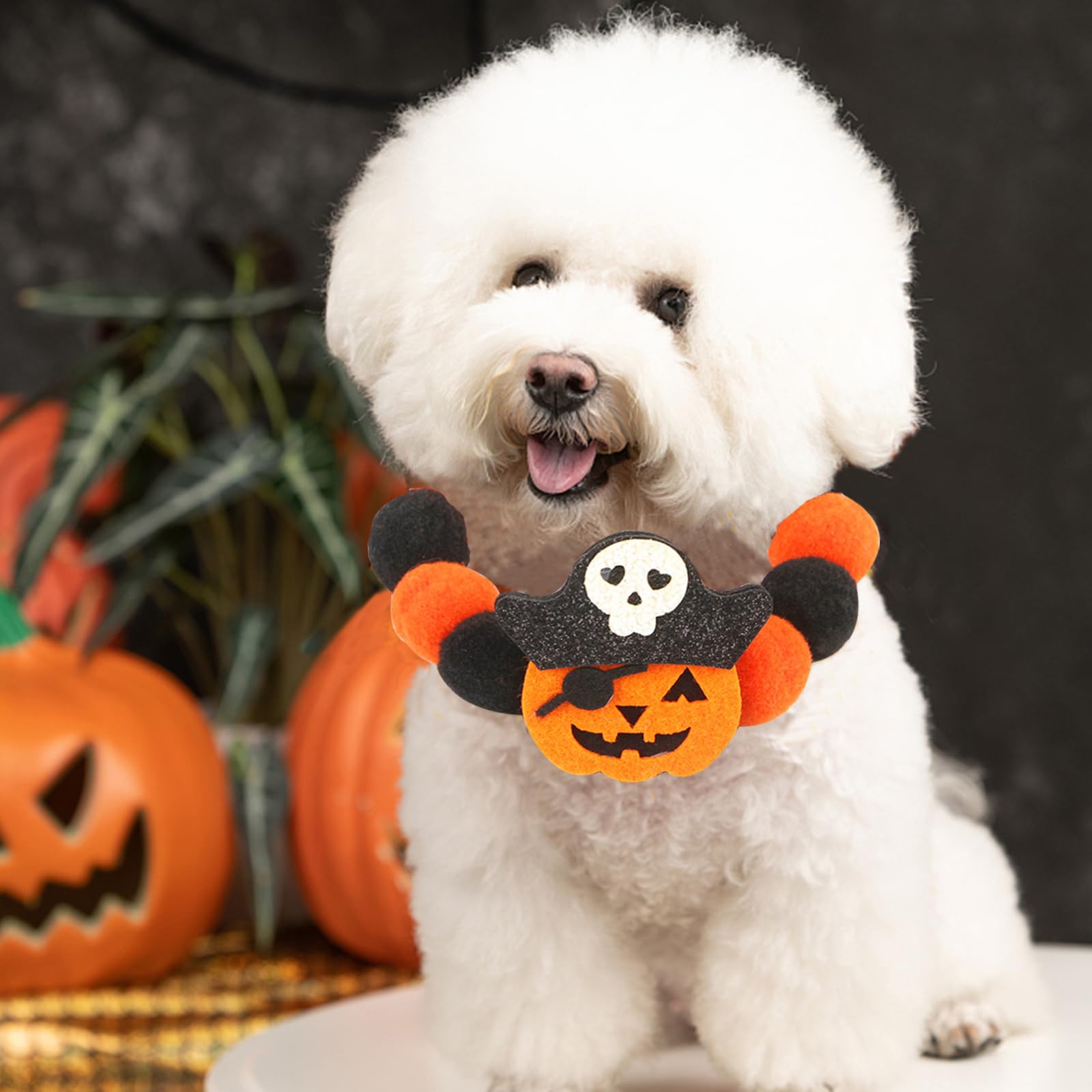 Bobo Rainbow 1Pc Dog Halloween Day Costume - Dog Cat Halloween Collar Pet Collar Patterns Dog Ball Collar Pet Orange Costume Sof