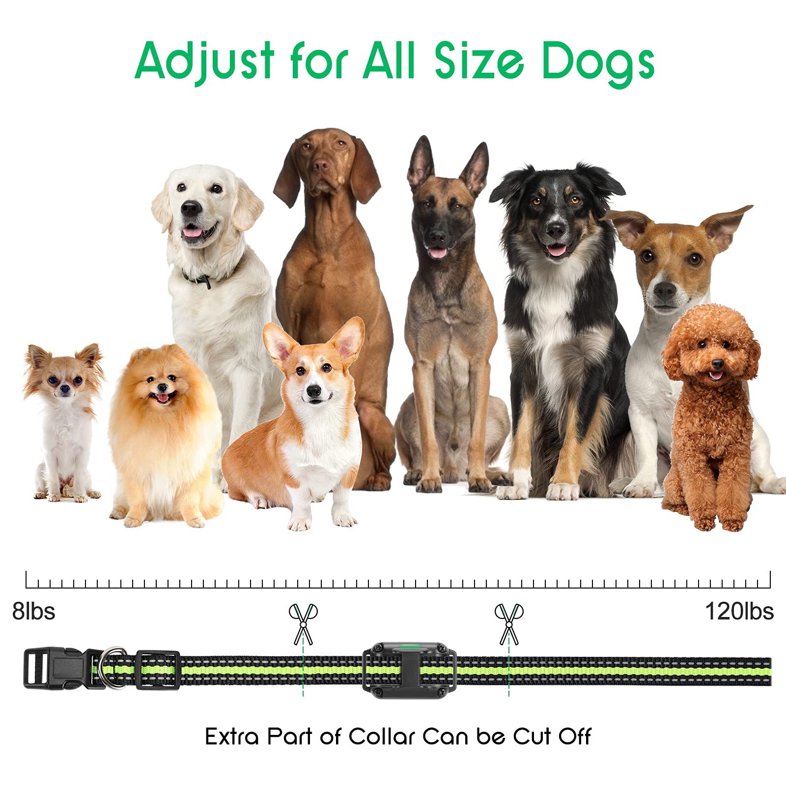 Dog Training Collar With 2600 Ft Remote, Electronic Dog Collar Shock Collar With Beep, Vibration, Shock, Light And Keypad Lock M