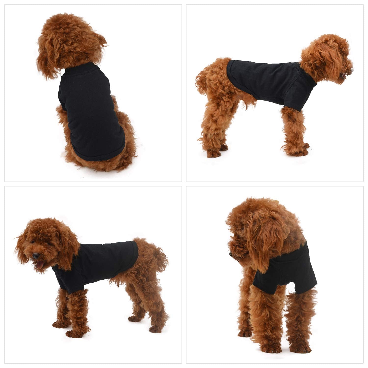 Lovelonglong Pet Clothing Dog Costumes Basic Blank T-Shirt Tee Shirts for Small Dogs Black M