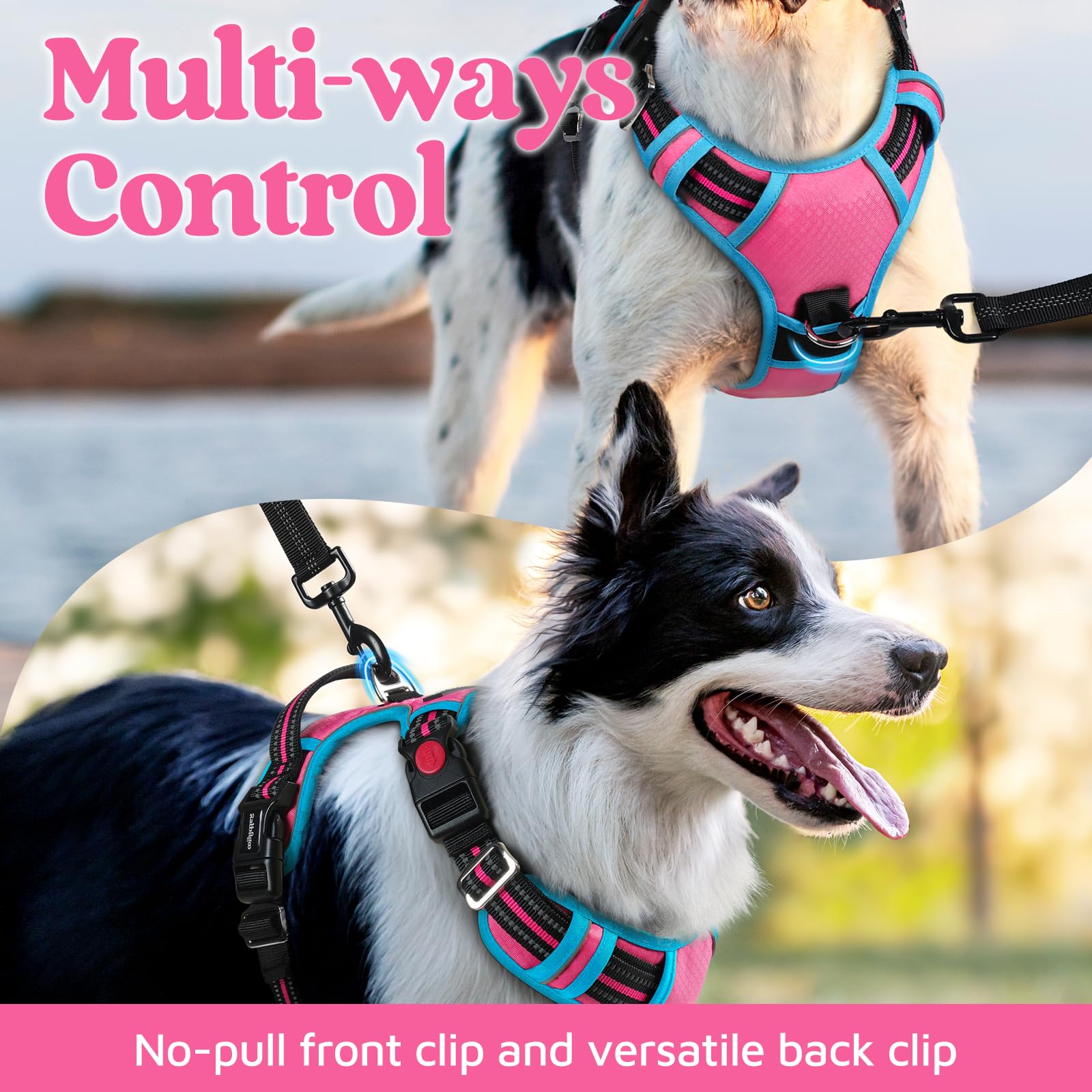 Rabbitgoo Dog Harness Small Sized, No Pull Dog Vest With 3 Buckles, Adjustable Soft Padded Pet Harness With Easy Control Handle