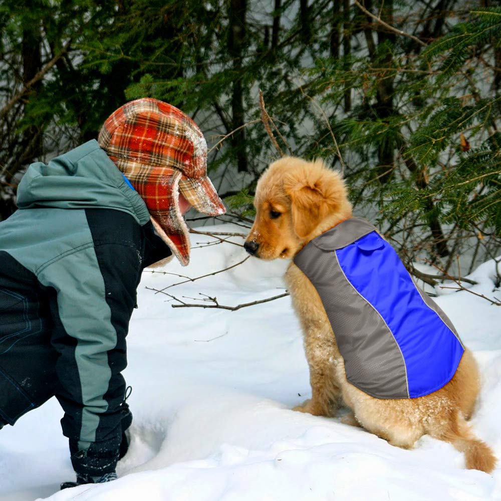 VIZPET Dog Raincoat Waterproof Jacket, High Visibility Vest for Small Medium Large Dogs, Blue-L, Nylon