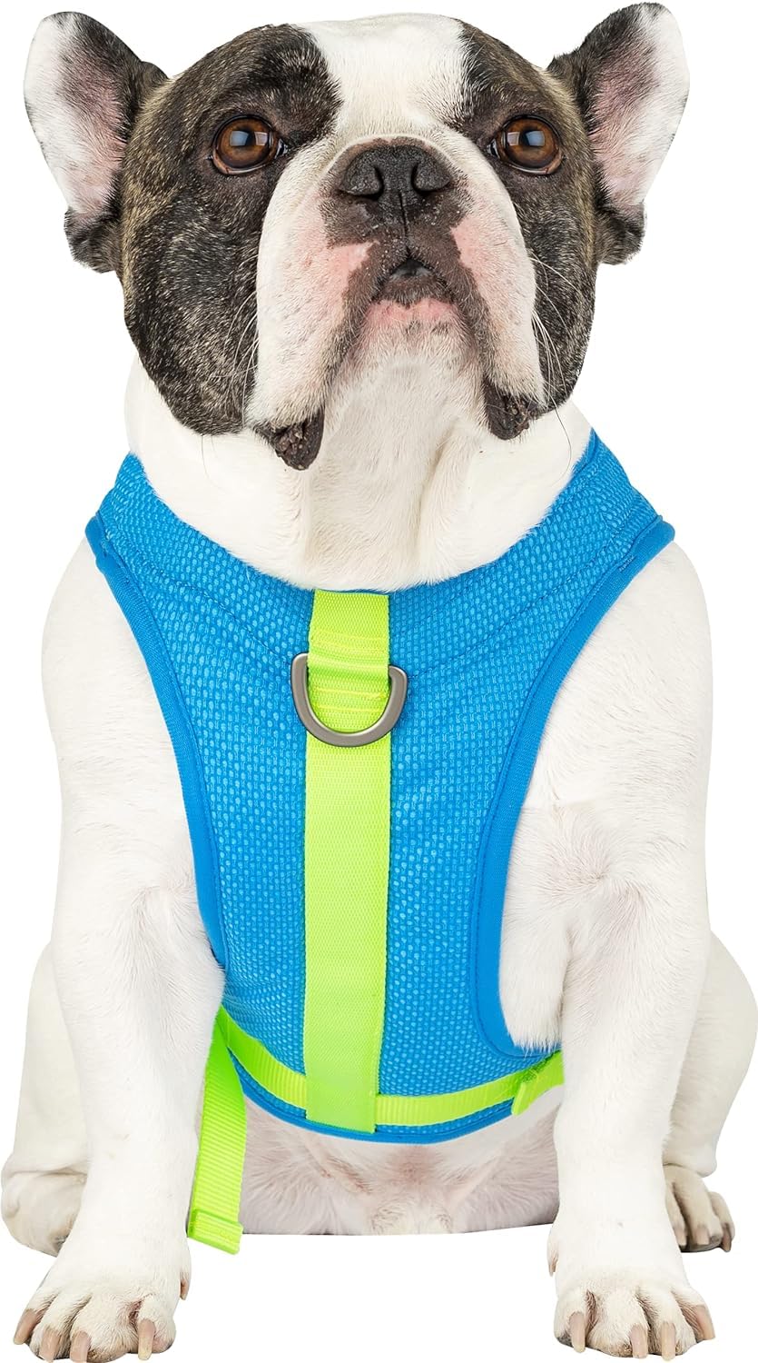 Canada Pooch Dog Cooling Harness - Evaporative Cooling Harness Vest For Dogs With Breathable Mesh Material & Reflective Lining, Adjustable Dog Cooling Vest Great For Dogs Blue