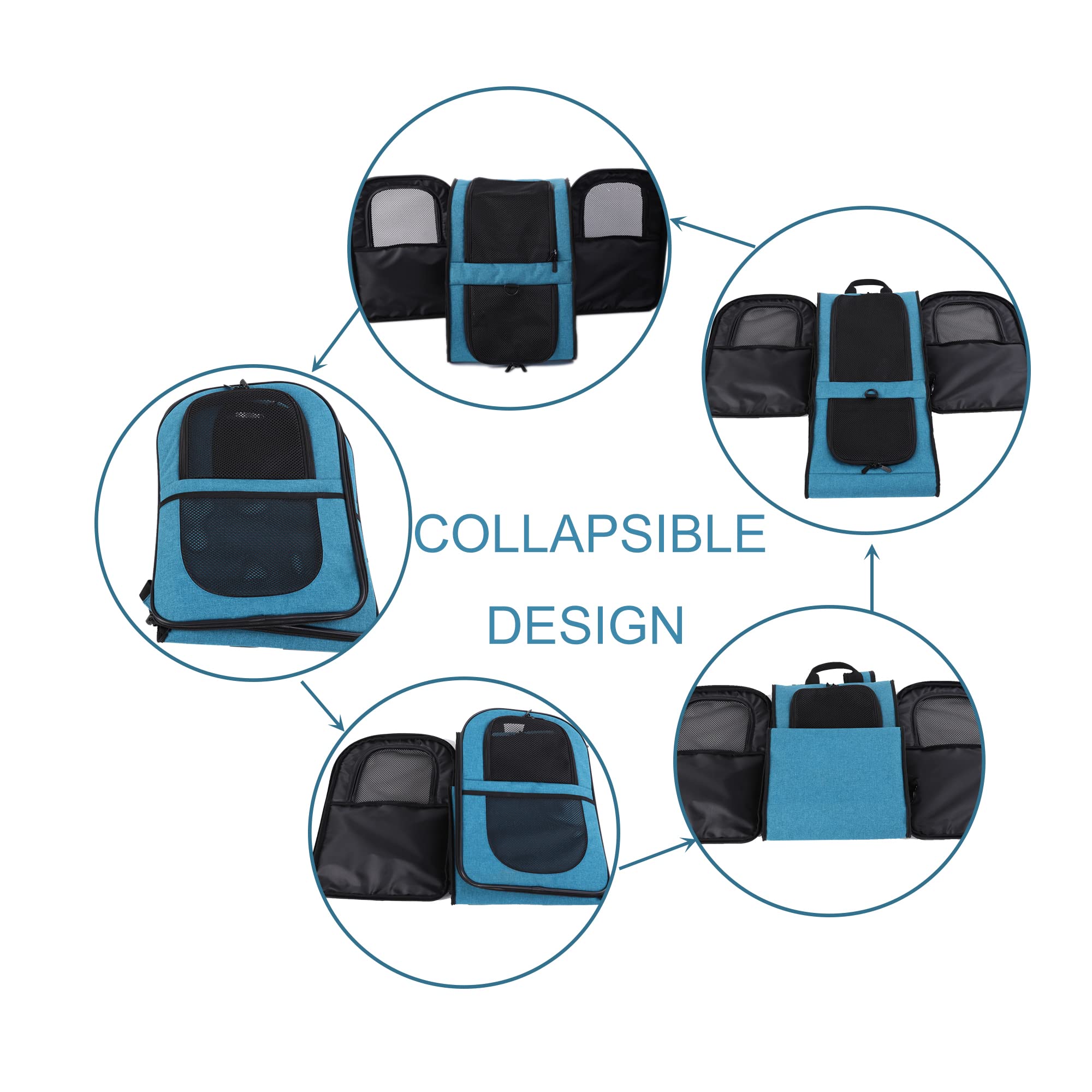 Apollo Walker Pet Carrier Backpack For Large/Small Cats And Dogs, Puppies, Safety Features And Cushion Back Support | For Travel, Hiking, Outdoor Use (Teal)