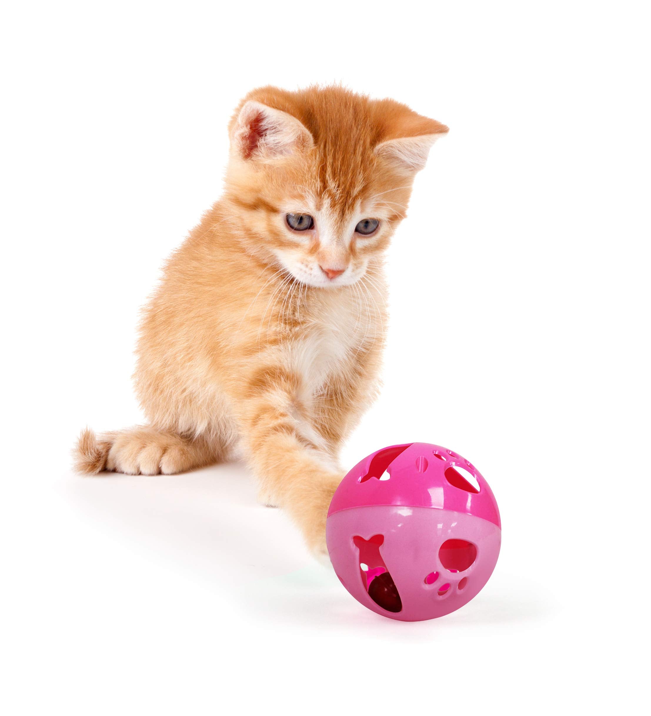 Pets First Large Size Cat Ball With Bell Toy For Cats Kittens And Other Animals - Hours Of Play For Pets, Large Size For Extra Fun, Rings As It Moves