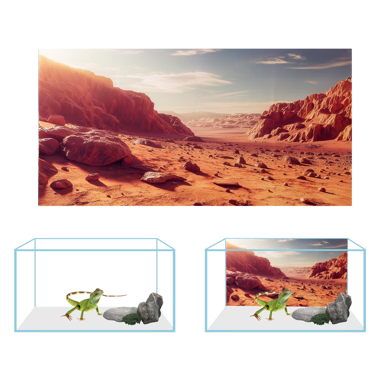 COMSUN 3 Pack Terrarium Background, 48x24 inches Polyester Reptile Background, Cloth Terrarium Background, Gobi Sunshine Cactus