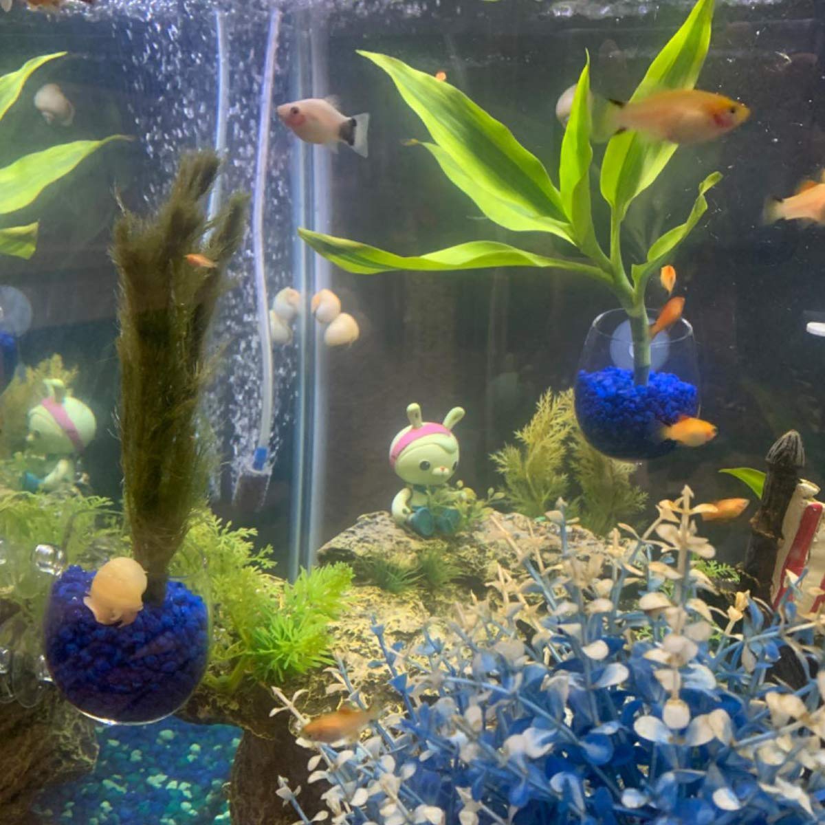 Ailindany 2PCS Crystal Glass Aquatic Plant Cup Pot Holder with Suction Cups for Fish Tank Aquarium Decor