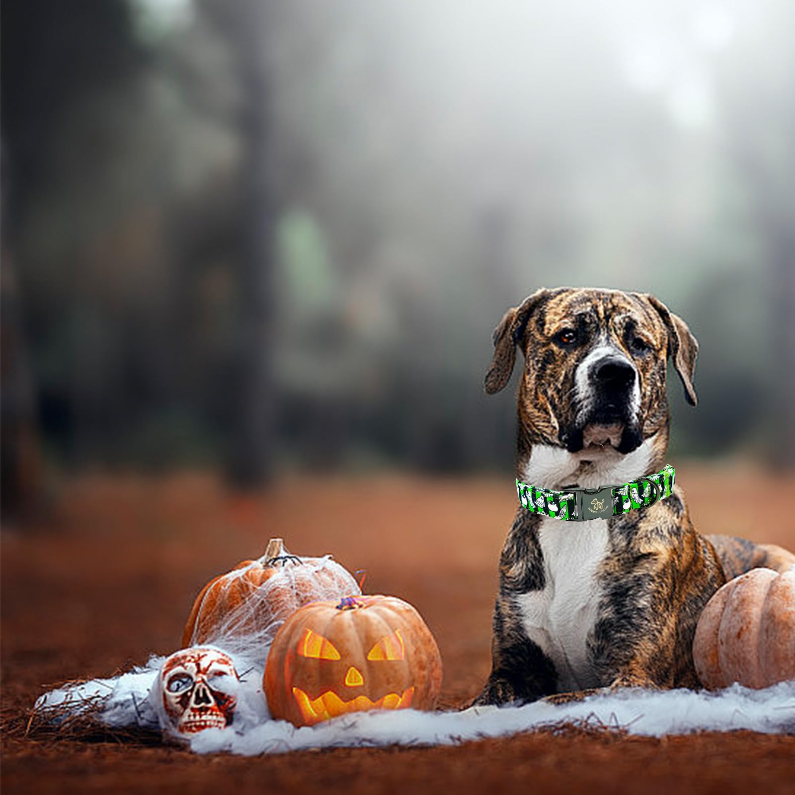 Elegant Little Tail Dog Collar For Halloween - Ghost Pet Collar, Green Boy Puppy Collar, Cotton With Metal Buckle, Adjustable Fo