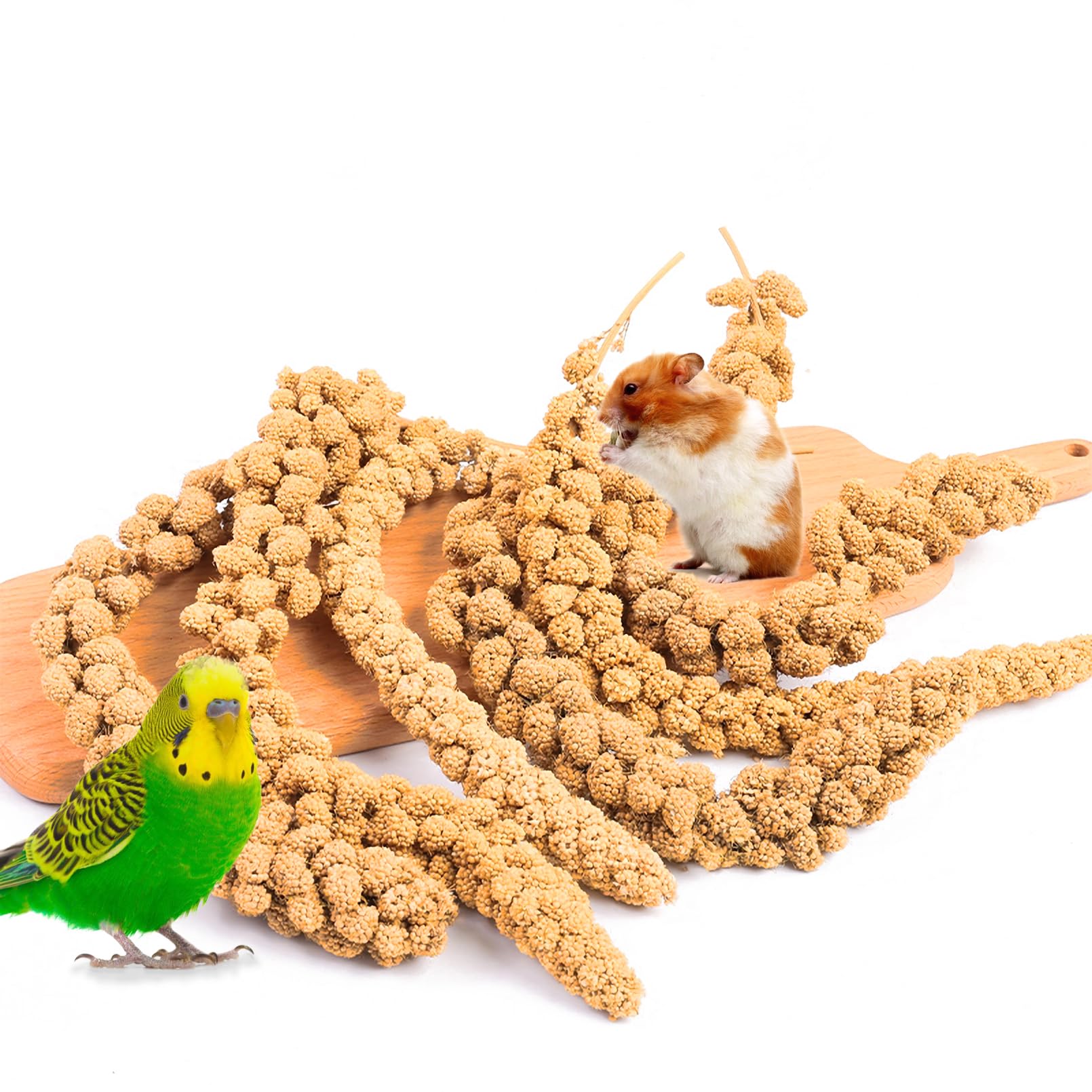 Fhiny Millet Spray for Birds, 1.1LB Natural Sun-Dried Millet for Birds Original Parakeet Food & Treats Spray for Parakeets Parro
