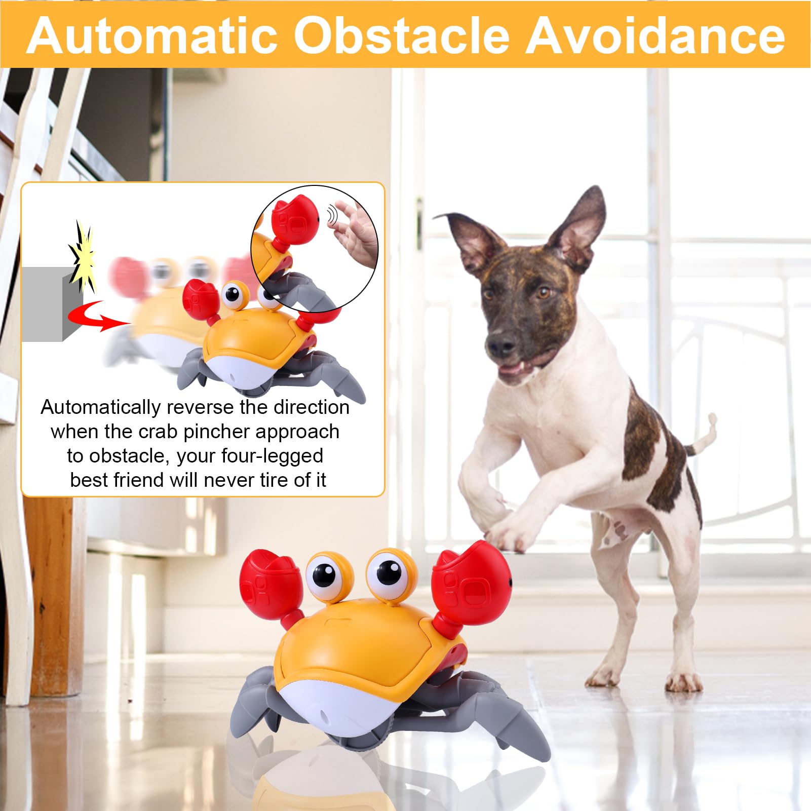 Mity rain Crab Crawling, Escaping Crab Dog Toy with Obstacle Avoidance Sensor, Dancing Crab Toys with Music Sounds & Lights for