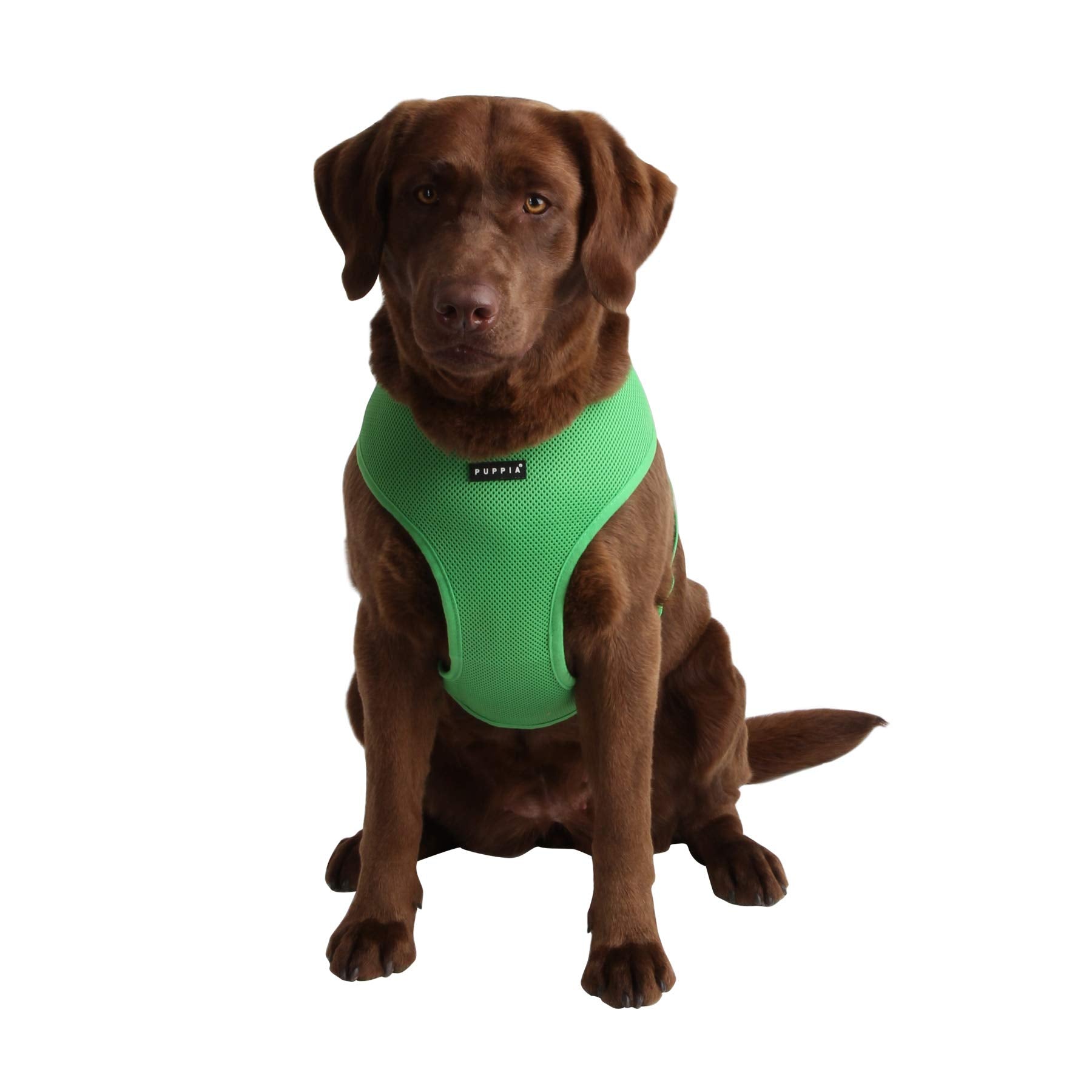 Puppia Soft Dog Harness No Choke Over-The-Head Triple Layered Breathable Mesh Adjustable Chest Belt And Quick-Release Buckle, Green, X-Small