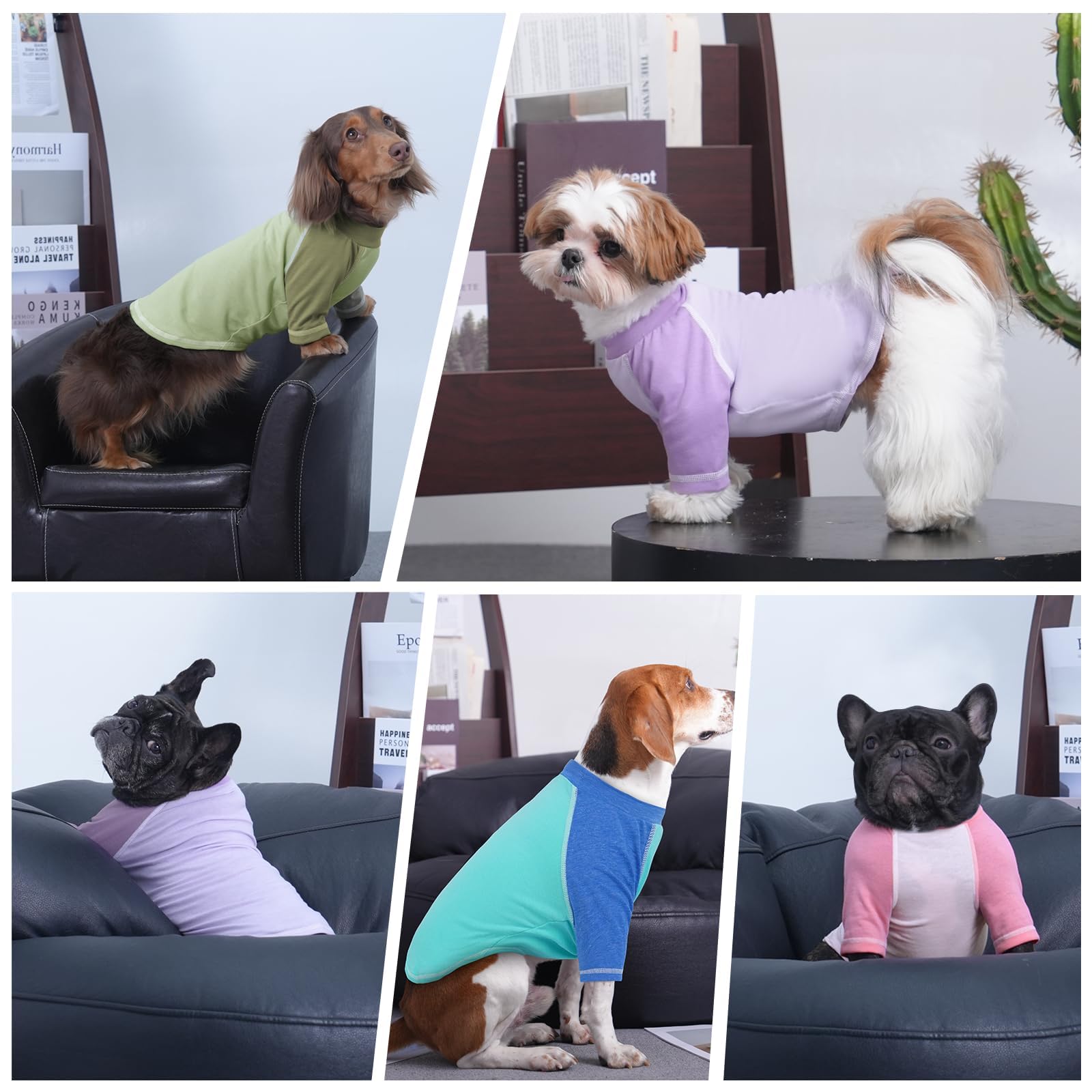 2 Pack Dog Raglan-Sleeve Shirts, Pinkpurple, Large Size Pet Tshirt For Medium Dogs Male, Wide & Comfortable Summer Pet Apparel F