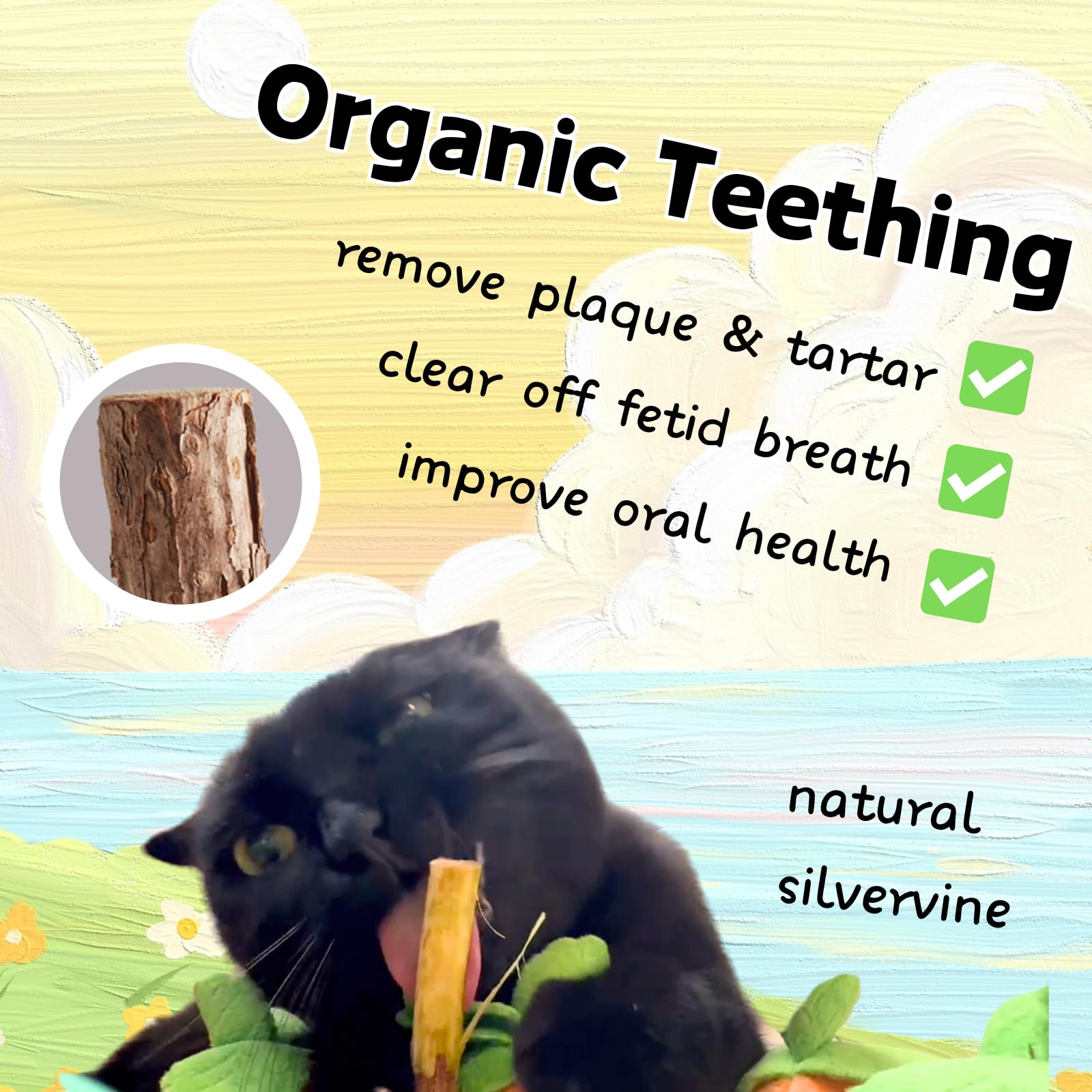 Cece Paw Carrot Catnip Toys, Interactive Feather Cat Toys For Indoor Cats, Cat Puzzle Toys For Boredom And Mental Stimulation, 1