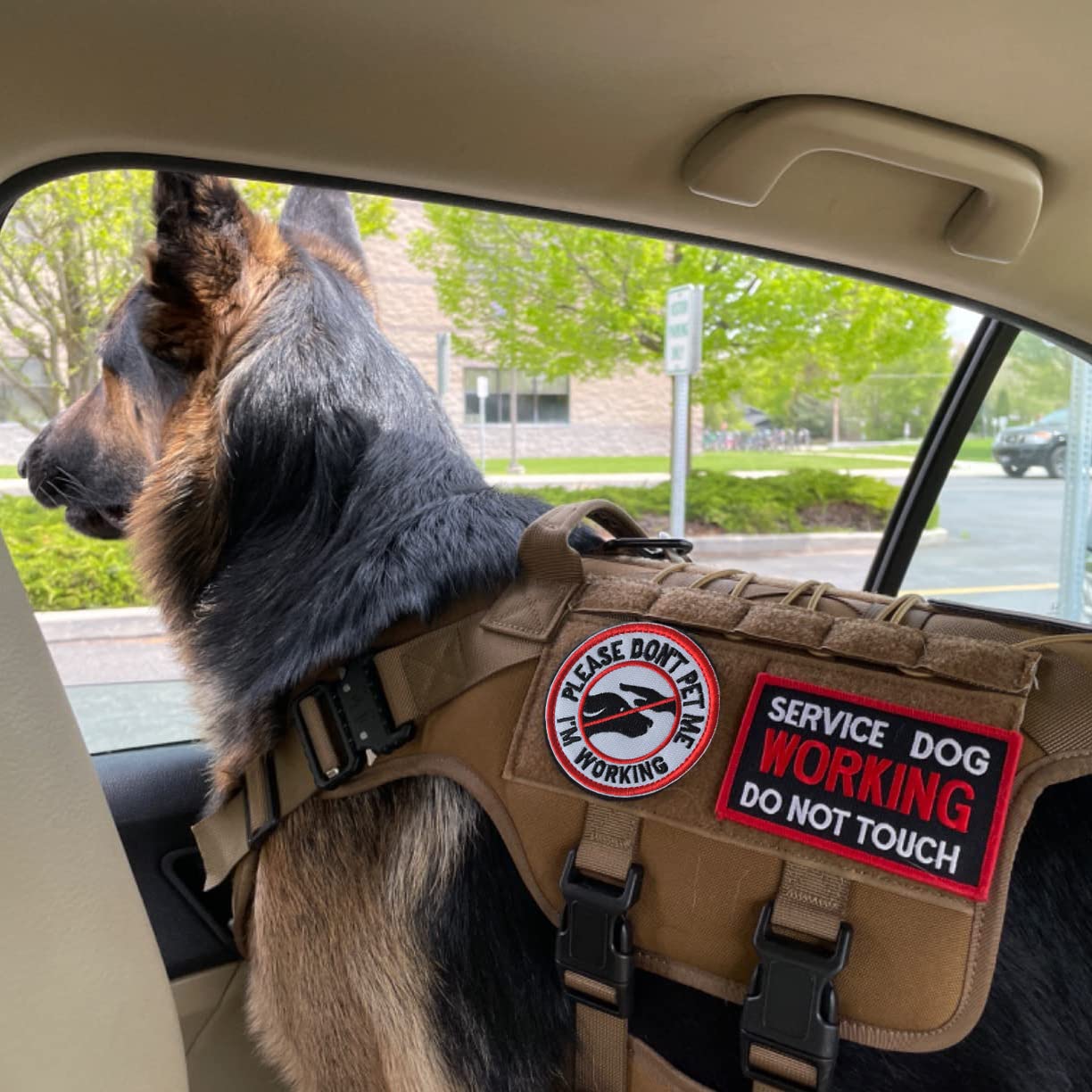J.Carp 2 Pieces If You Can Read This You Are Too Damn Close Patch, Service Dog Do Not Separate Dog From Handler Patch Full Embro