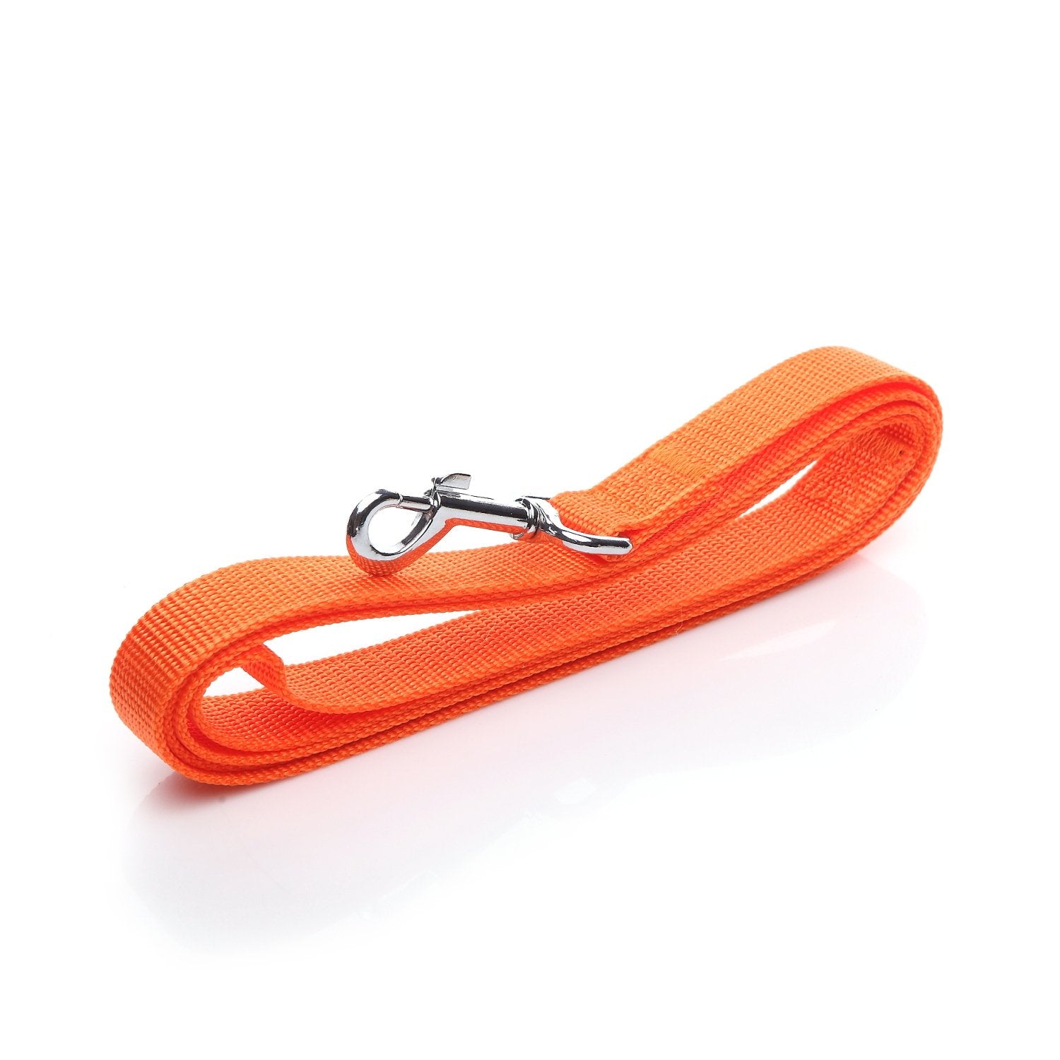 Nylon Dog Leash 12 Feet Long, Walking Training Dog Leashes For Medium Large Dogs(1'' X 12 Ft, Orange)