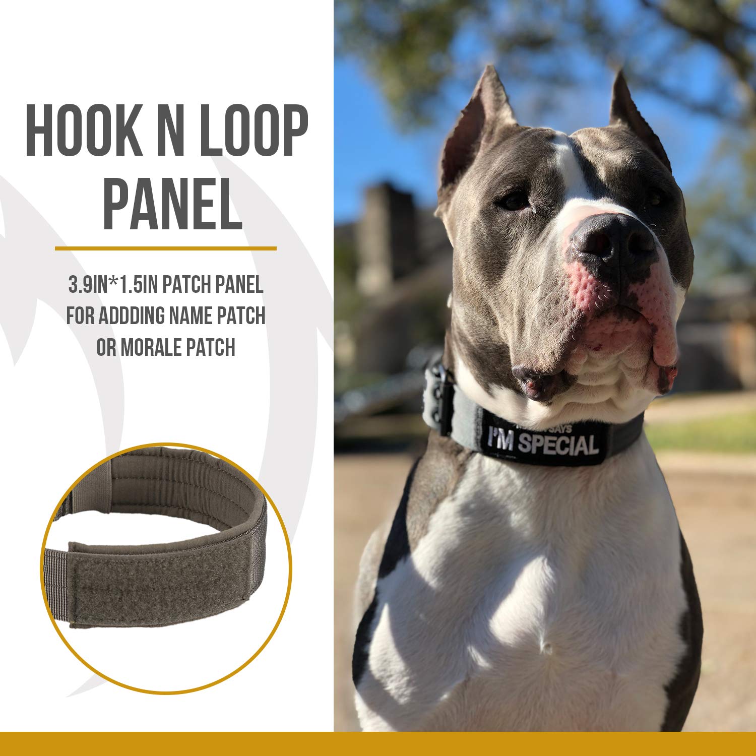 Onetigris Military Adjustable Dog Collar With Metal D Ring & Buckle 2 Sizes (Coyote Brown, M)