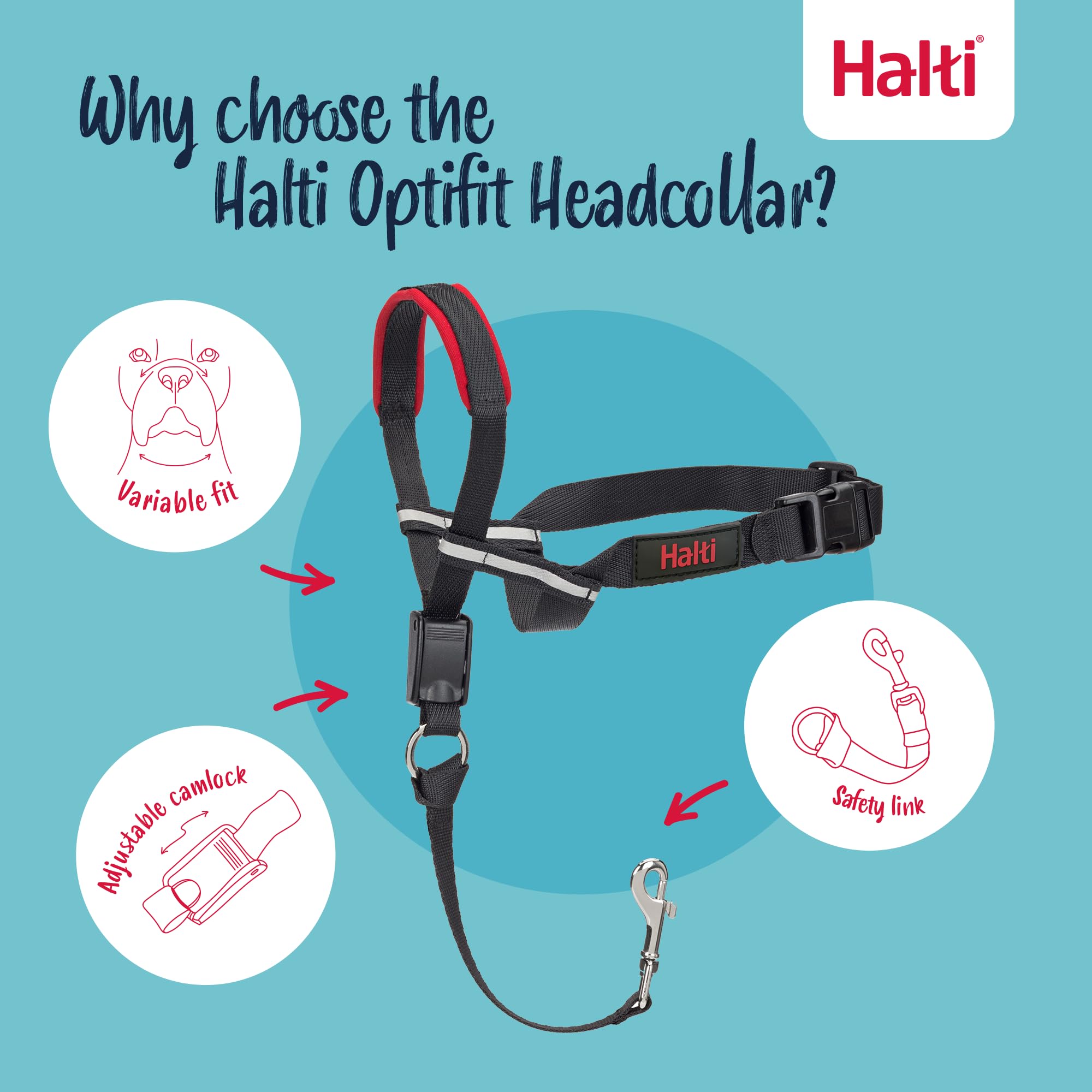 HALTI Optifit Headcollar Size Large & HALTI Training Leash Size Large, Black Combination Pack - Stop Your Dog Pulling on the Lea