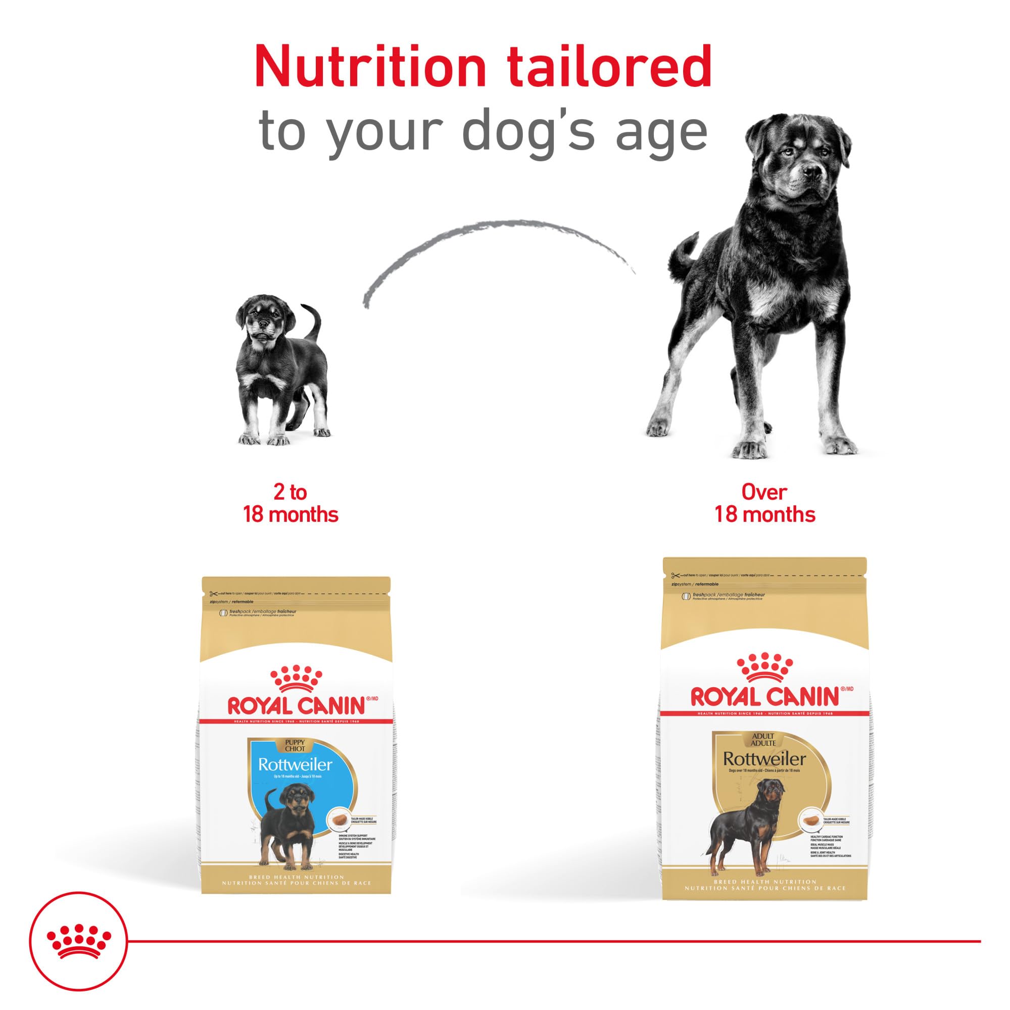 Royal Canin Breed Health Nutrition Rottweiler Puppy Dry Dog Food, 30 lb Bag