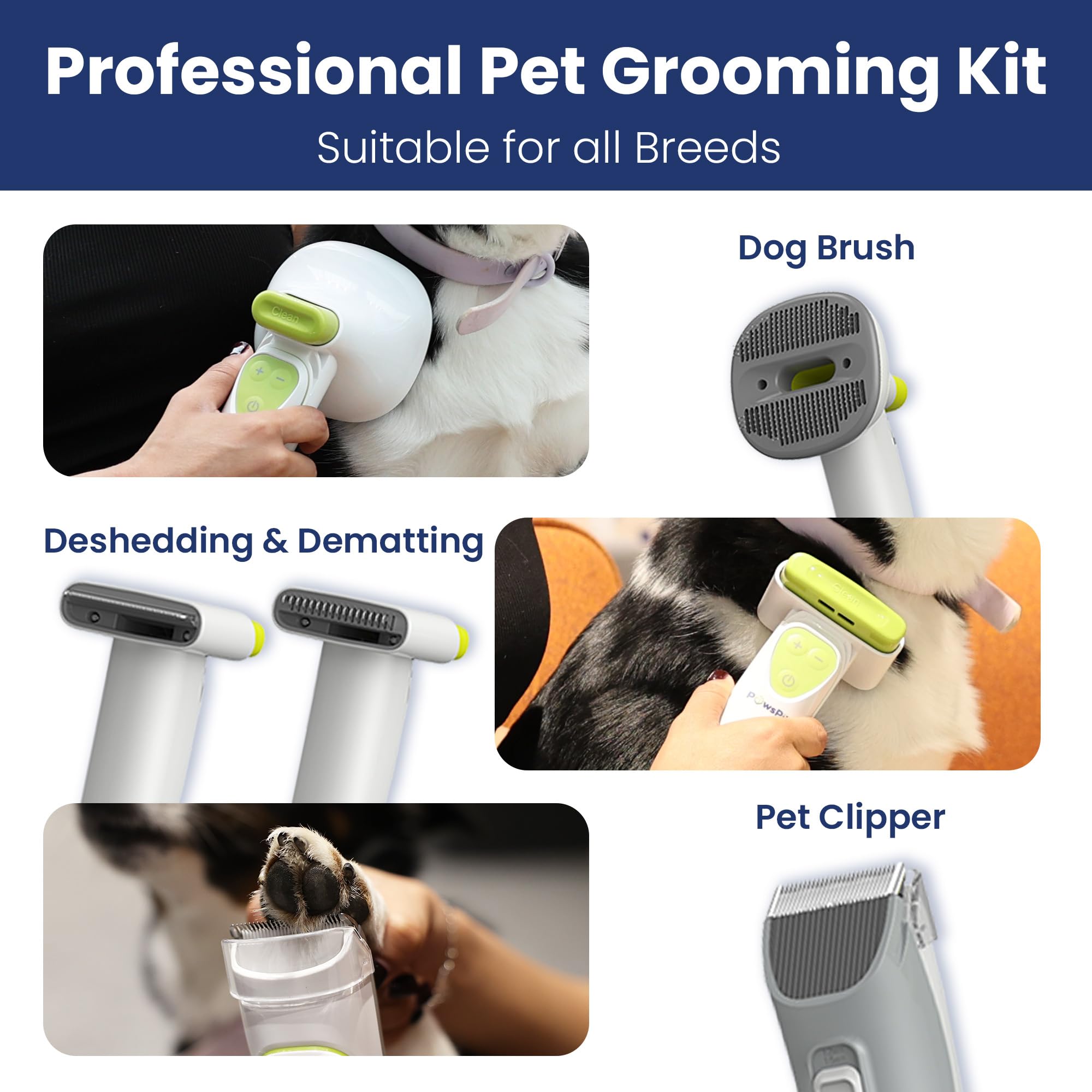 Professional Dog Grooming Vacuum Kit, Dogs & Cats, Direct Handheld Control, 7 Grooming Tools, Deshedding And Dematting For Groom