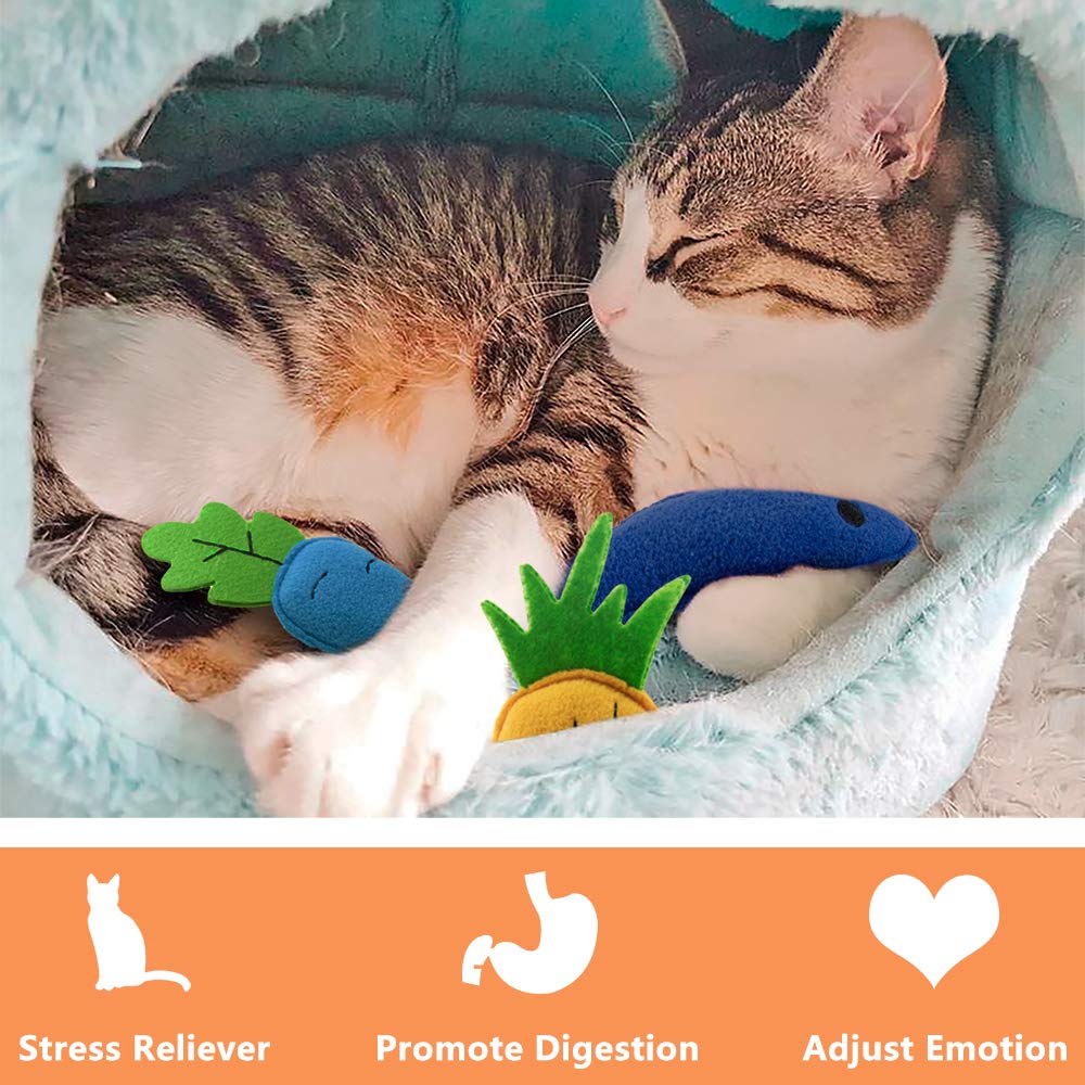 Awoof Catnip Toys For Indoor Cats, Natural Catnip Kitten Toys Cat Toys Set