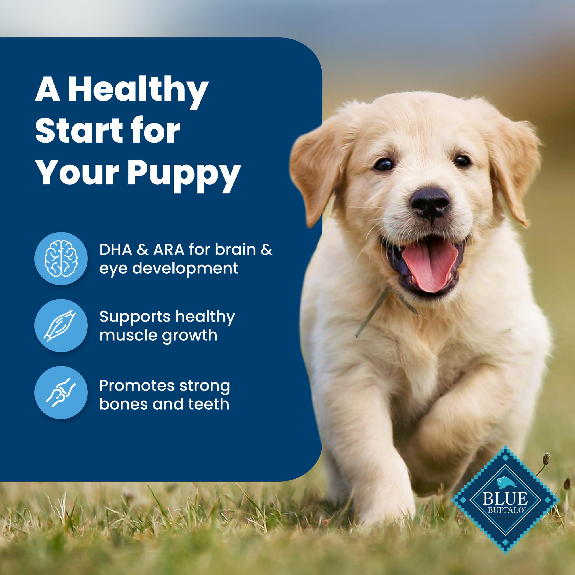 Blue Buffalo Life Protection Formula Puppy Dry Dog Food with DHA and ARA, Made with Natural Ingredients, Chicken & Brown Rice Re