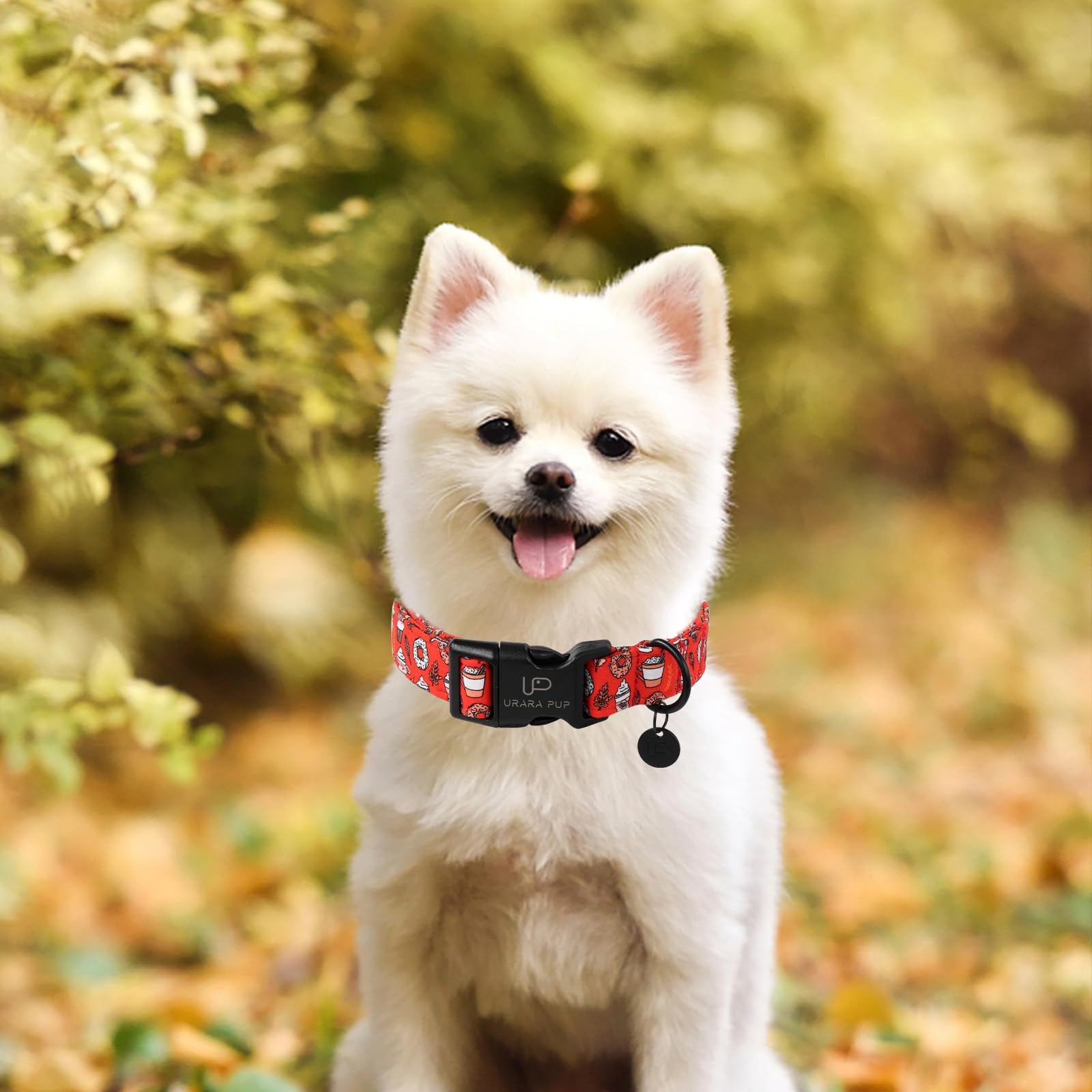 Up Urara Pup Fall Cotton Dog Collar With Plastic Buckle, Cute Doughnut Autumn Puppy Collar, Adjustable&Lightweight Pet Collar Fo