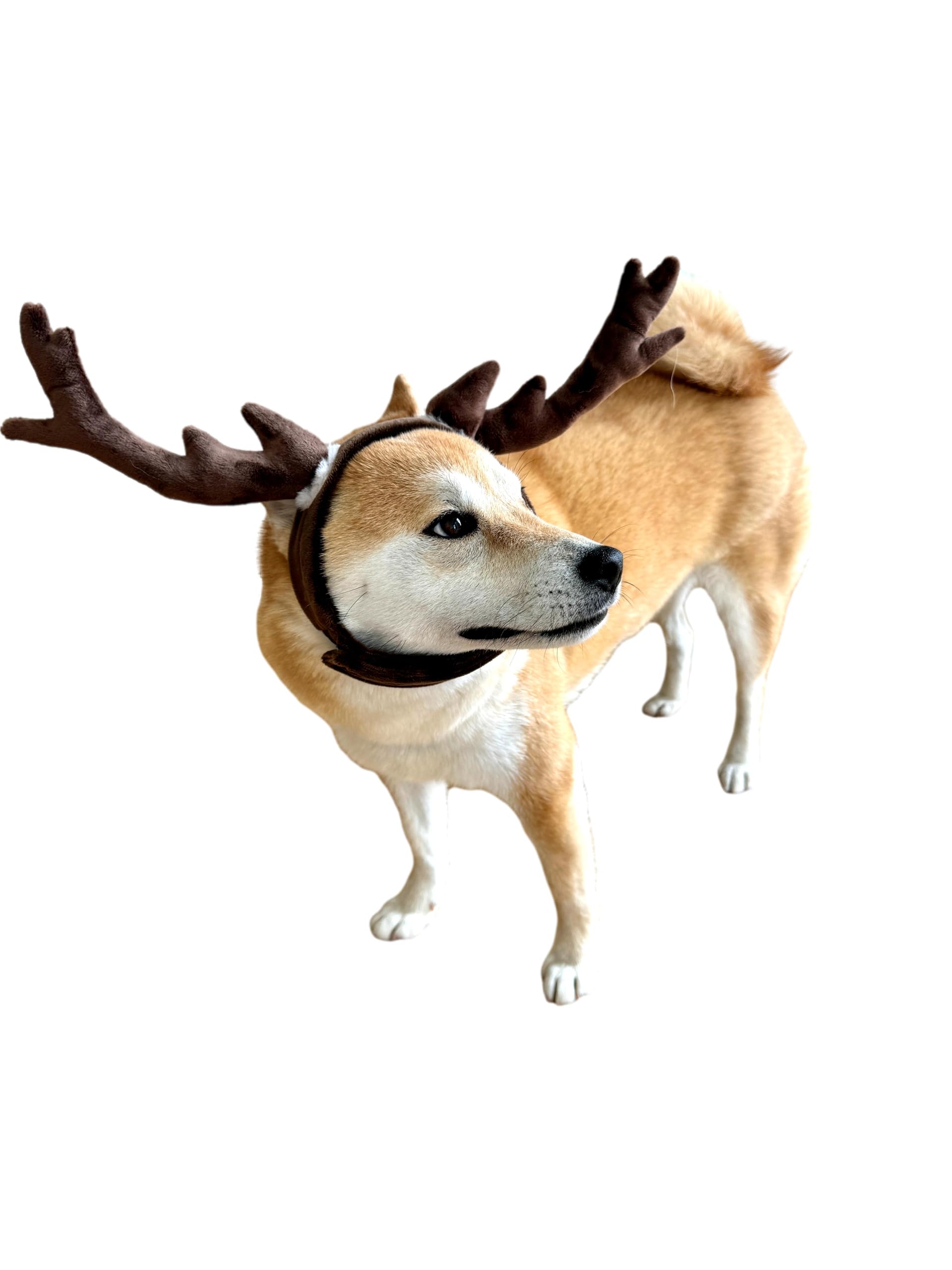 Comfycamper Reindeer Dog Headpiece - Elk Deer Antlers X Large Xxl Animal Cosplay Halloween Costumes Christmas, S