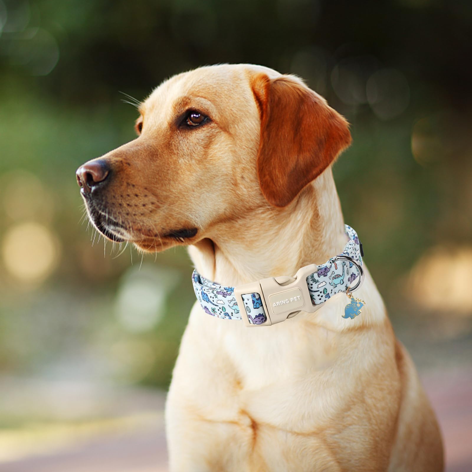 Aring Pet Dinosaur Dog Collar-Cute Dog Collar For Small Dogs, Adjustable Dinosaur Print Pet Collars Puppy Collar For Small Mediu