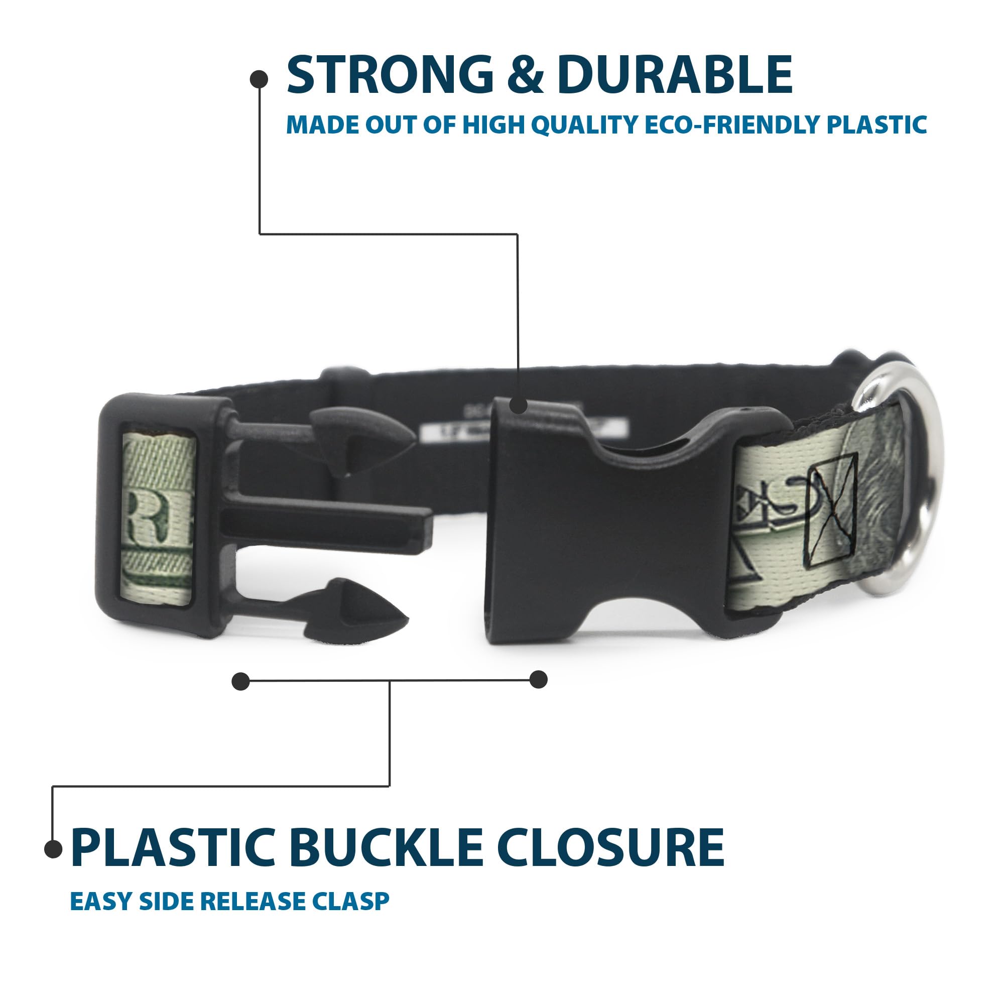 Buckle-Down 100 Dollar Bill C/U/Triple Benjamin Plastic Clip Collar, 1'' X 15-26''/Large