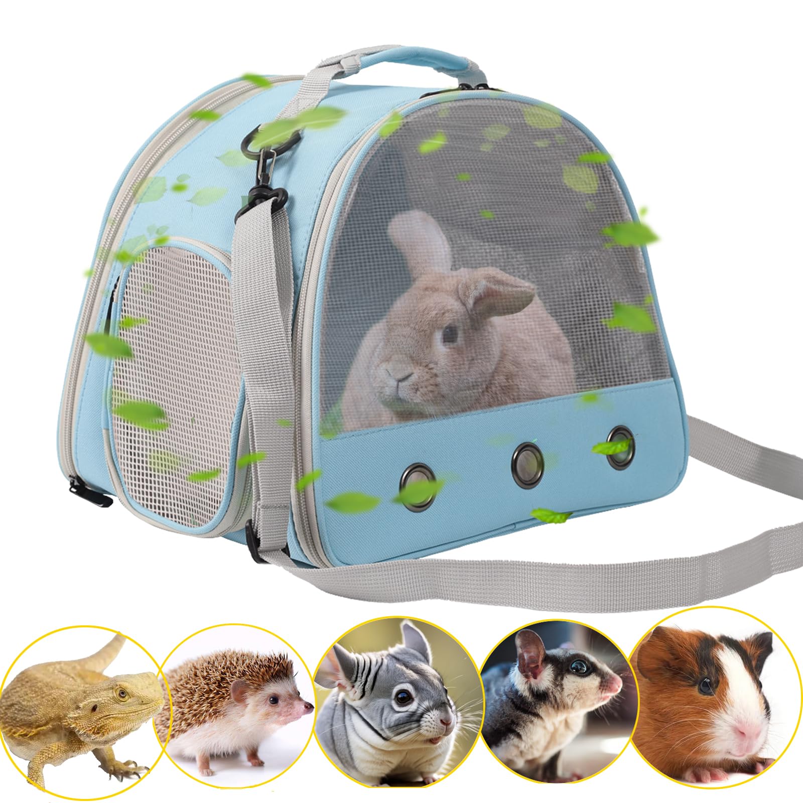 Ventilation Carrier For Bearded Dragons, Guinea Pigs, Reptiles & Small Pets - Airline Approved Mesh Carrier (Blue)